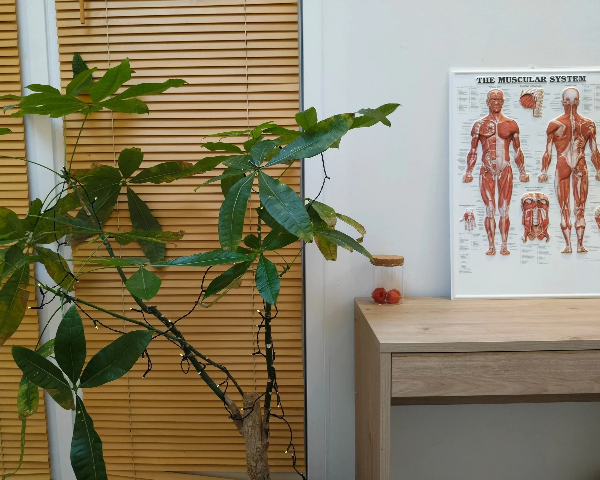 massage nørrebro & københavn