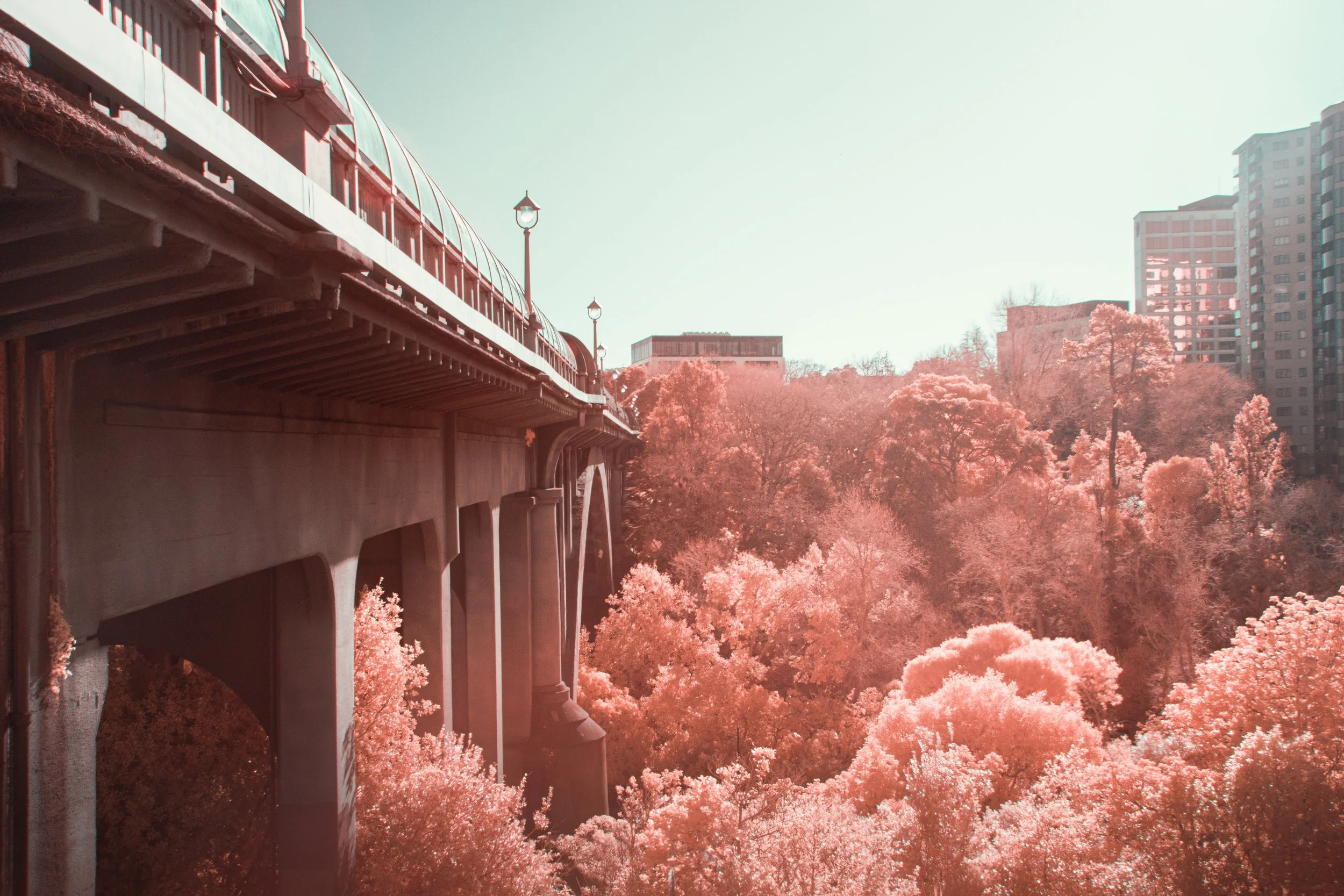 Infrared Photography