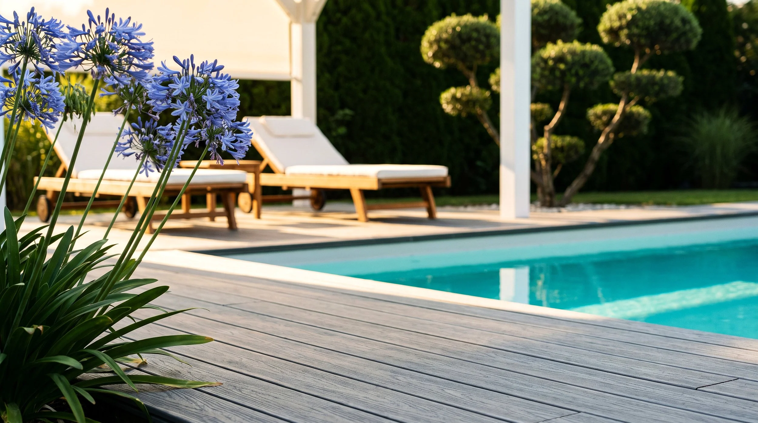 realisation-piscine-pergola-agapanthes-detail-agapanthes.jpg