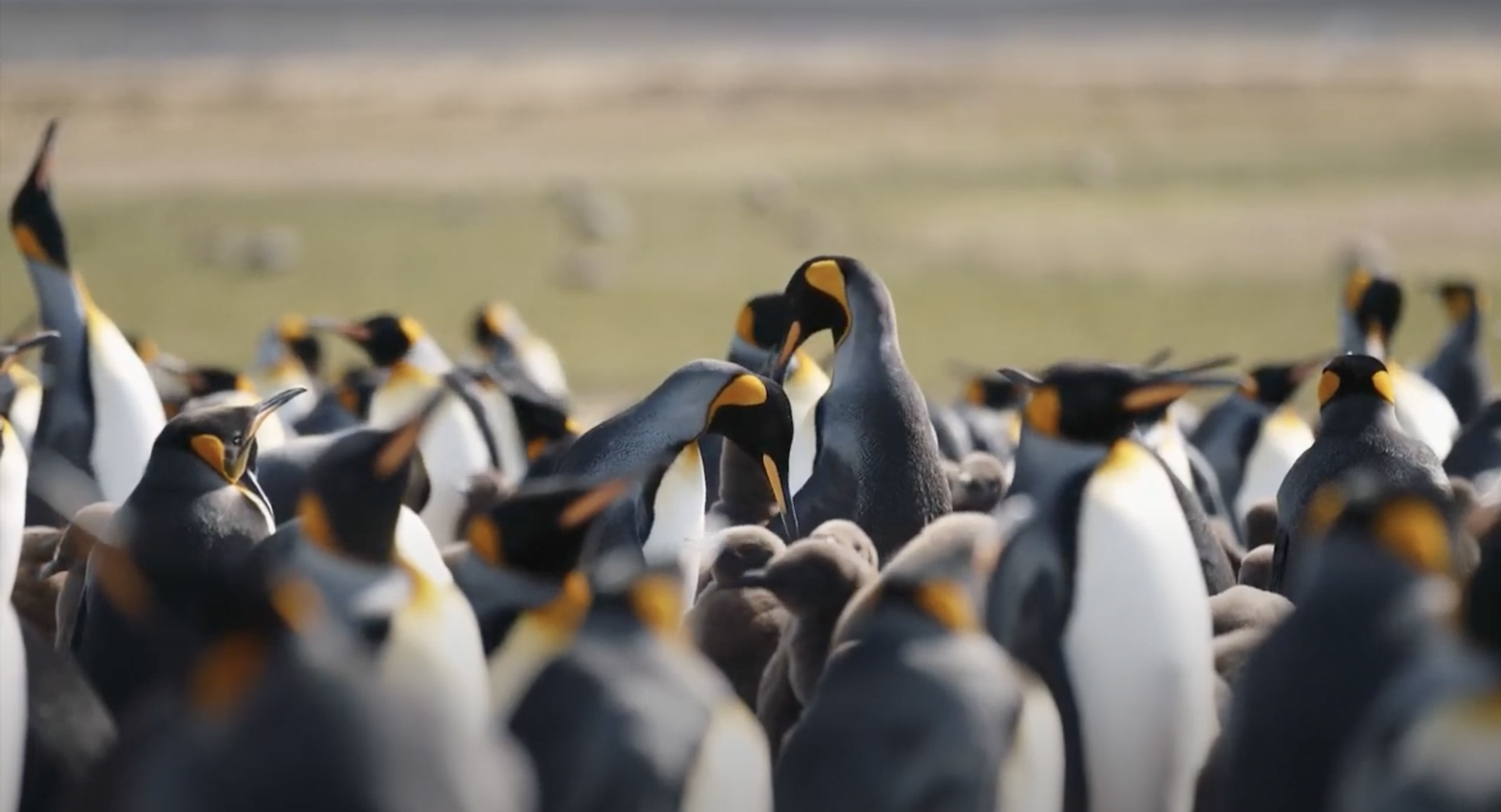 Screenshot 2021-11-15 at 11.03.53.png