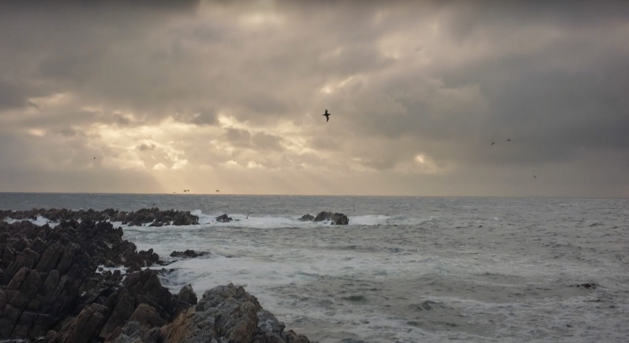 Screenshot 2021-11-16 at 17.05.38.png