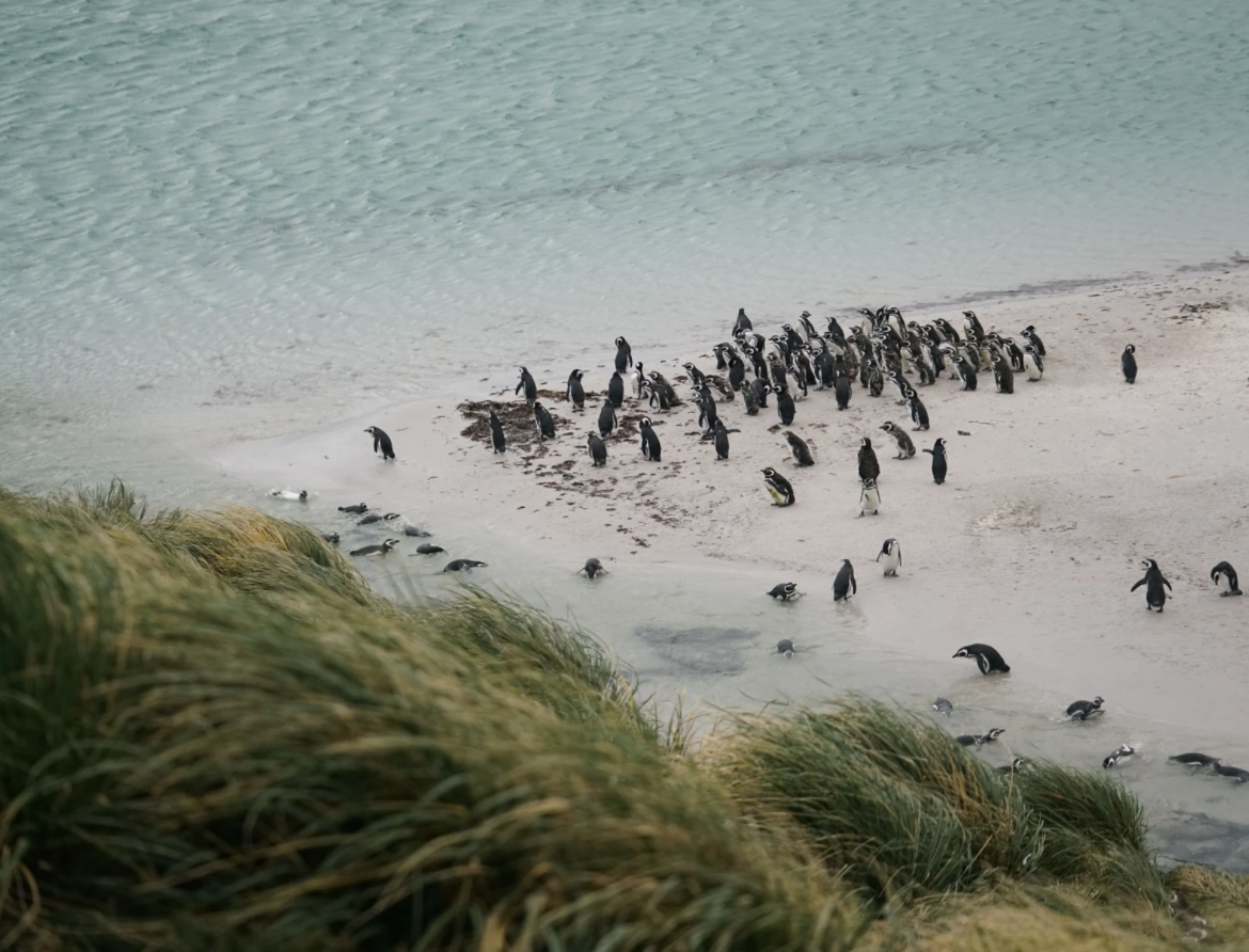 Screenshot 2021-11-15 at 10.25.20.png