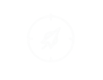 Icon of a compass needle inside a circle with cardinal directions, on a transparent background.