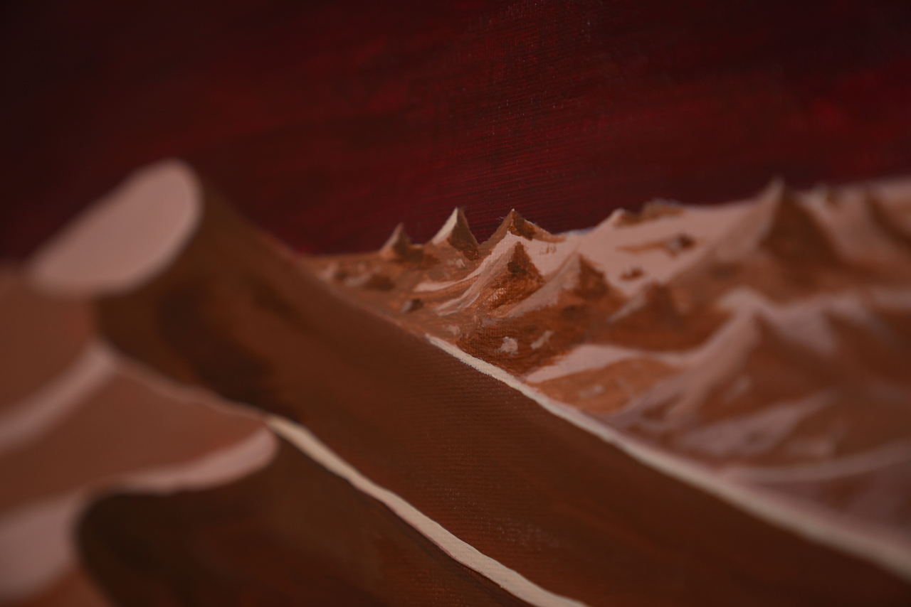 DSC00669.png