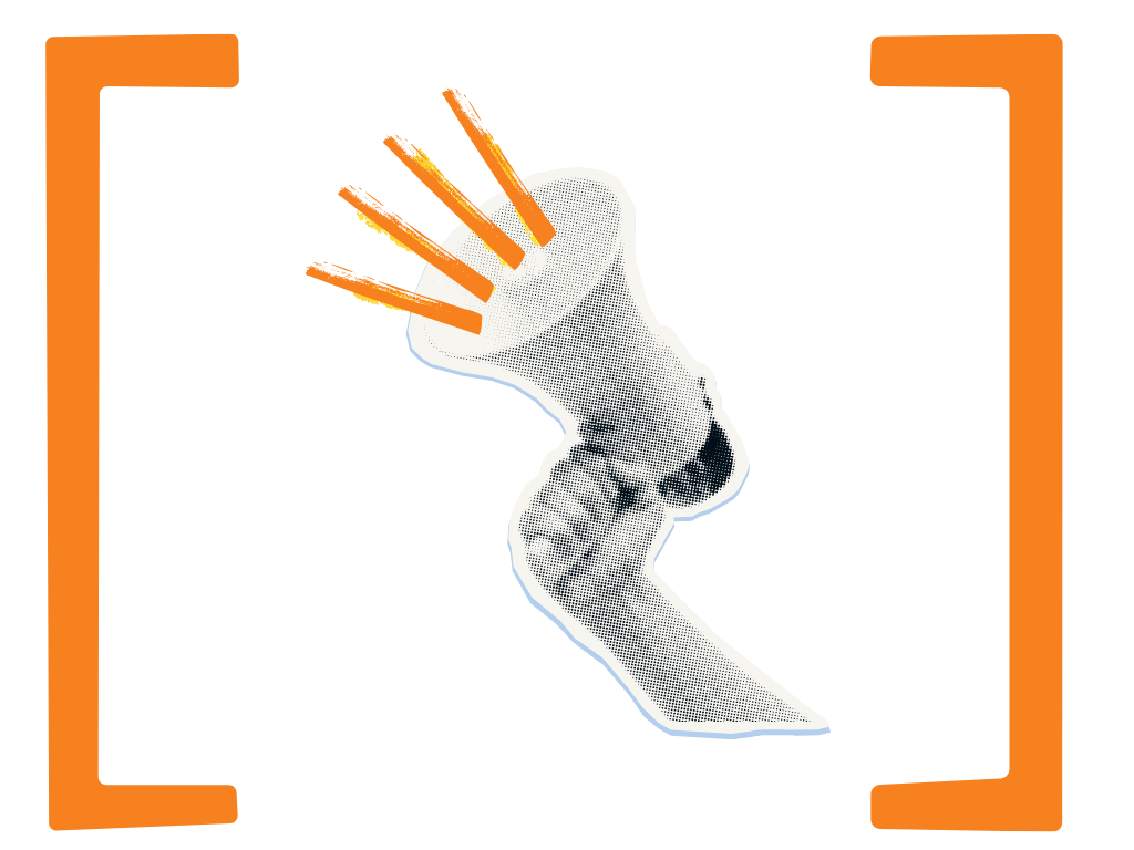A graphic illustration of a hand holding a megaphone with orange lines indicating sounds and noise within an orange frame.