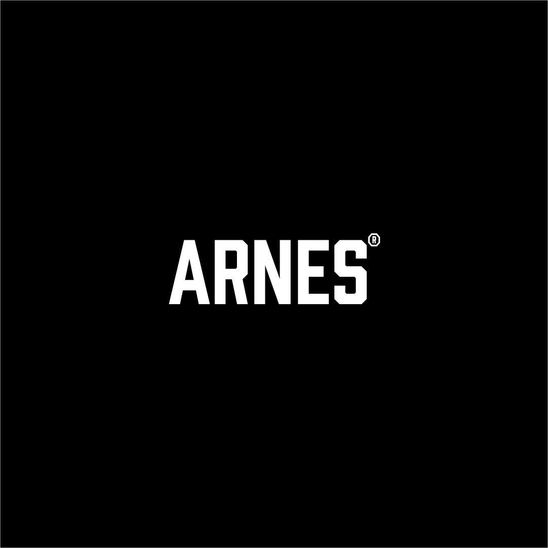 ARNES.png