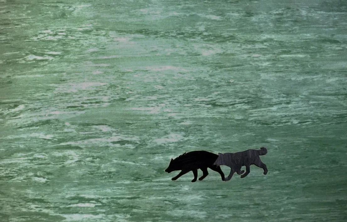  Tundra (detail)
  
0.2 x 1016 x 200cm 
Lino 
2004 (Saatchi Gallery
collection)