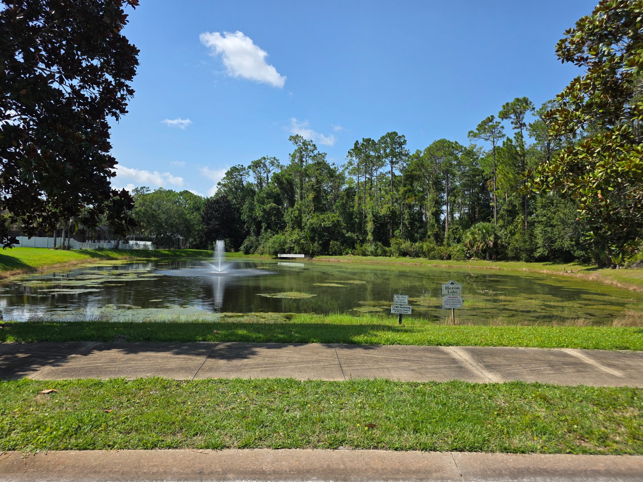 A peaceful park with a small pond and fountain, surrounded by lush green trees and grass under a bright blue sky with some clouds.