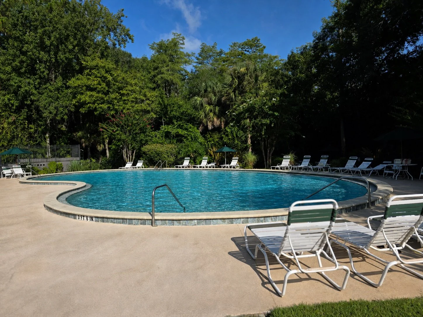 Empty outdoor swimming pool surrounded by white lounge chairs and green umbrellas, with lush green trees and a blue sky in the background.