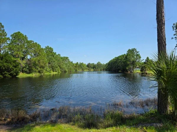 A calm river with green trees on both banks under a clear blue sky.