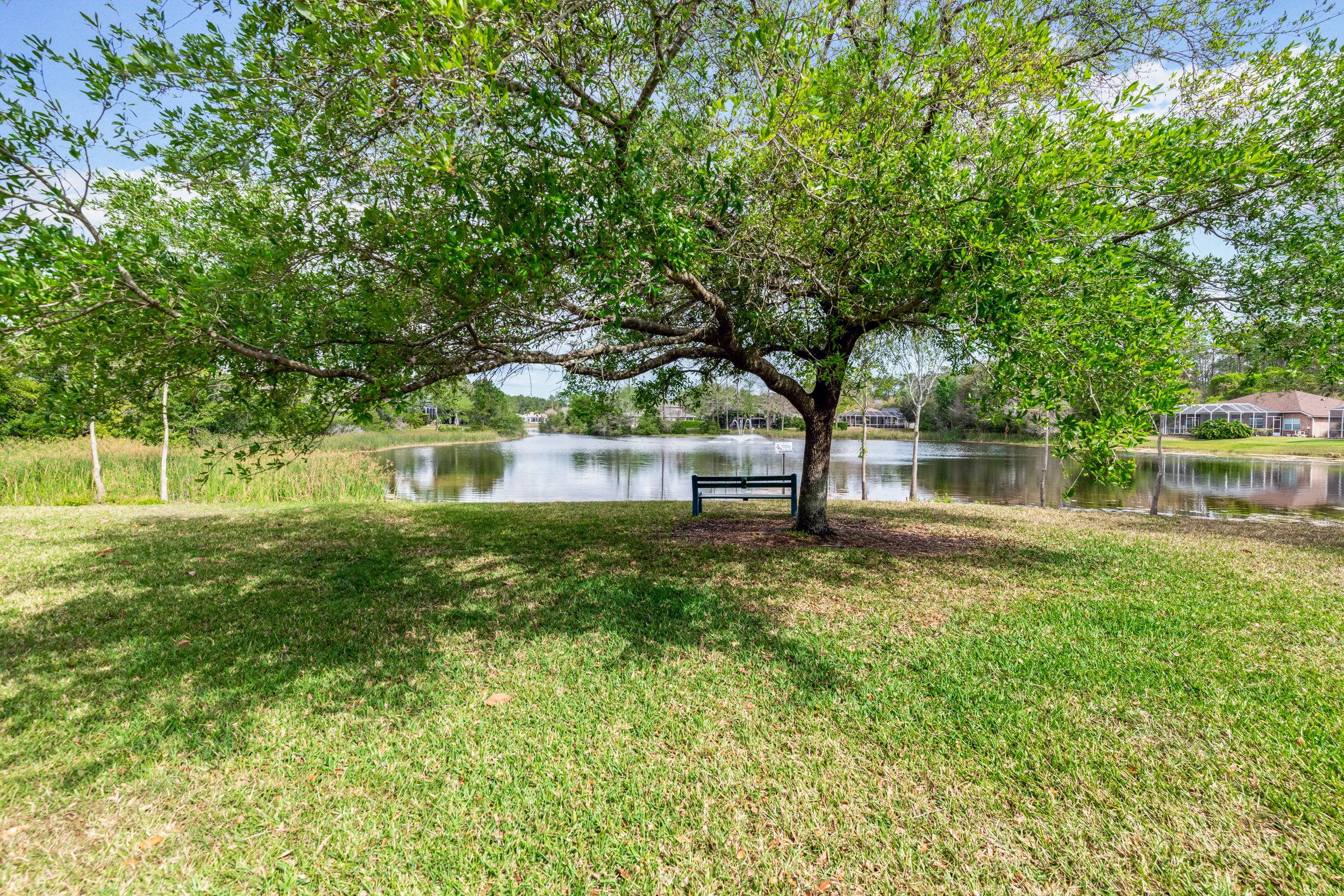 Tree with green leaves beside a pond with a fountain, surrounded by houses and green grass, under a partly cloudy sky.