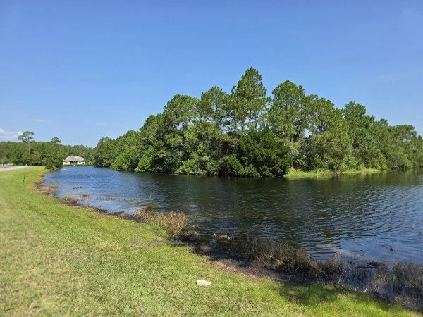 A peaceful river scene with green trees lining the bank, a grassy shoreline, and a small house in the distance under a clear blue sky.