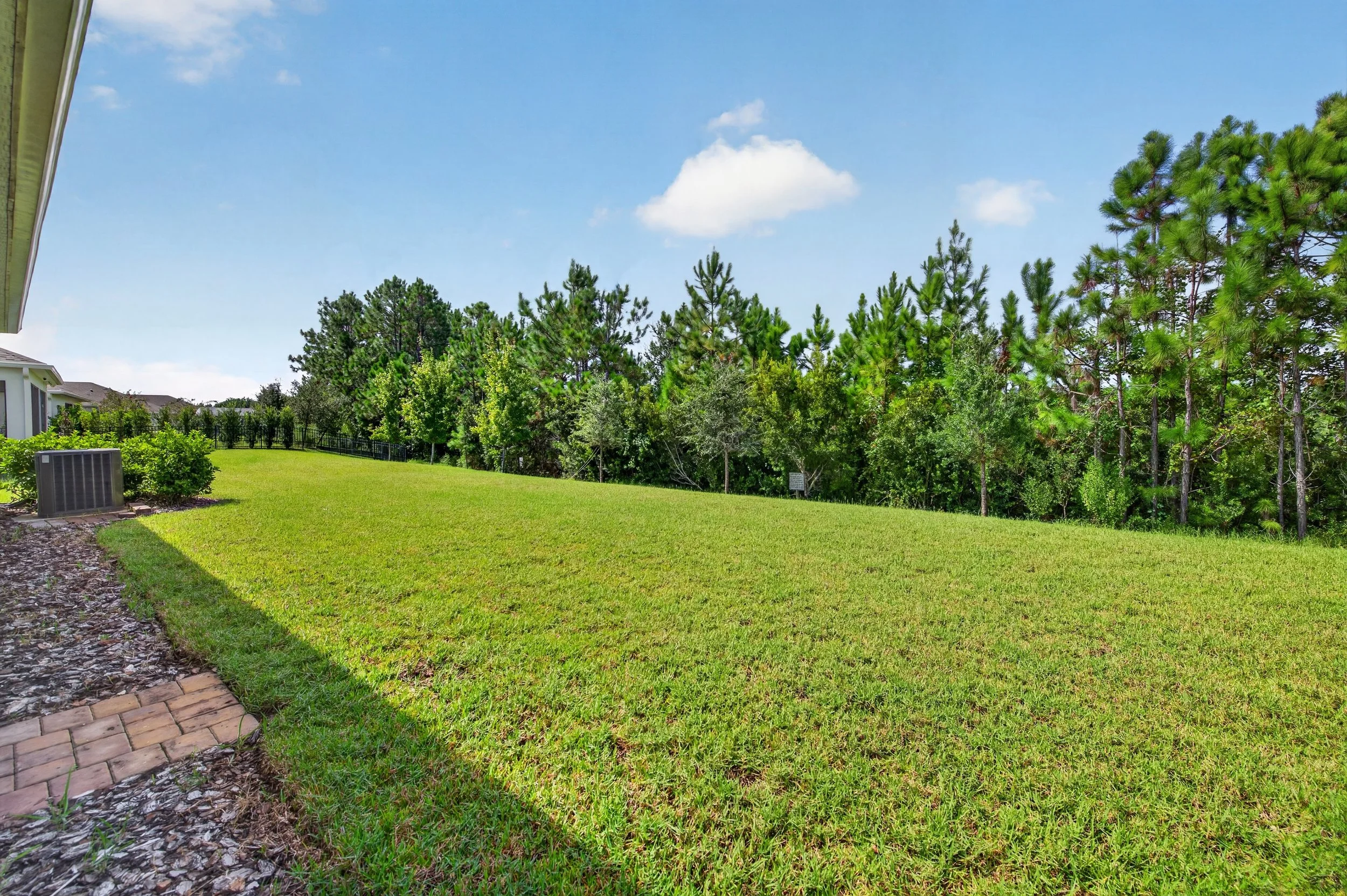 View of backyard 