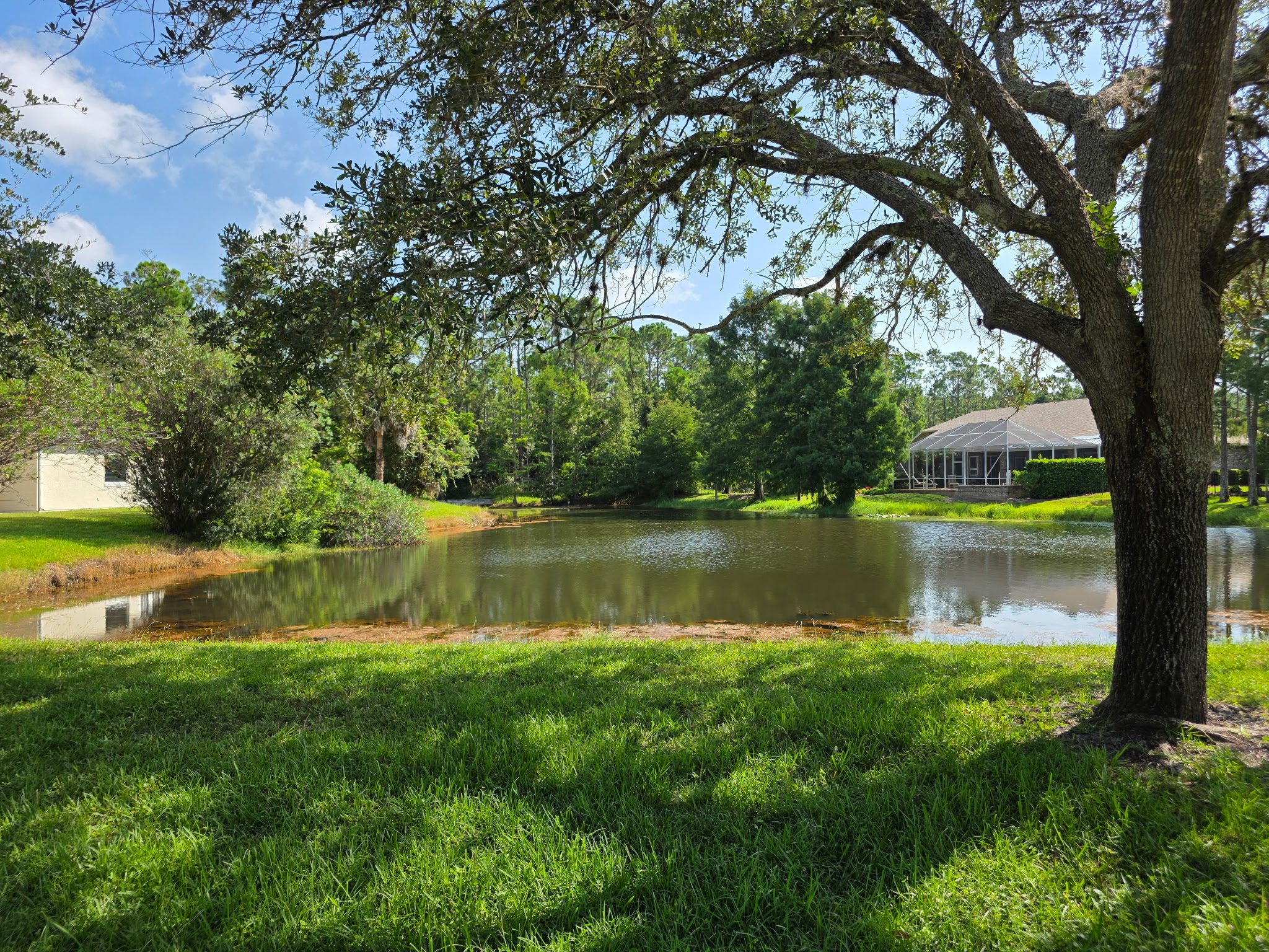 A backyard scene with a pond, large tree with sprawling branches, and a screened-in patio or porch in the background. Bright green grass and lush trees surround the pond under a partly cloudy sky.