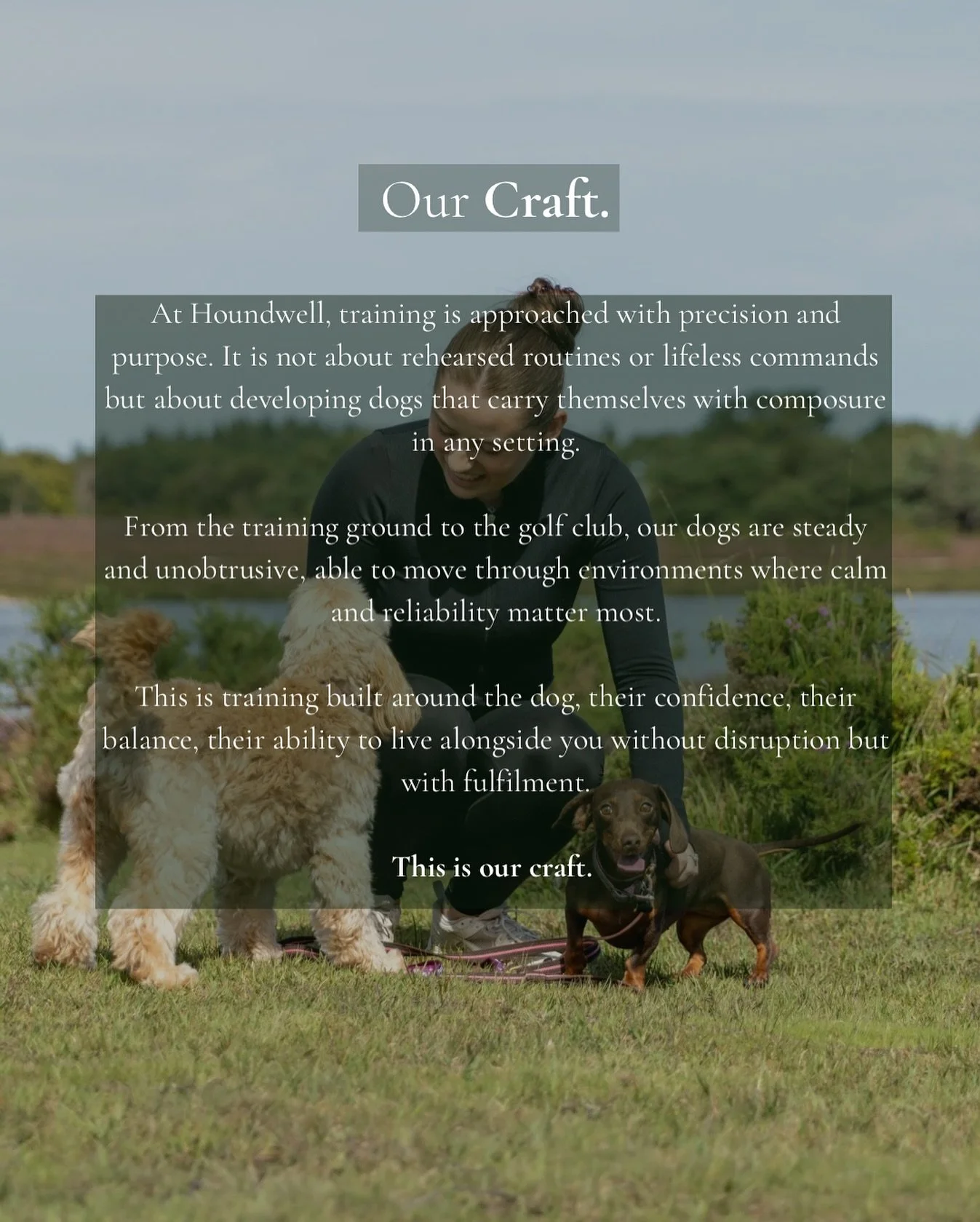 Our craft is not built on shortcuts or showmanship.
 It is built on the dog.

Confidence, balance, and trust that lasts beyond the session. Dogs that carry themselves with composure, able to move through the world calm, steady and unobtrusive.

This 