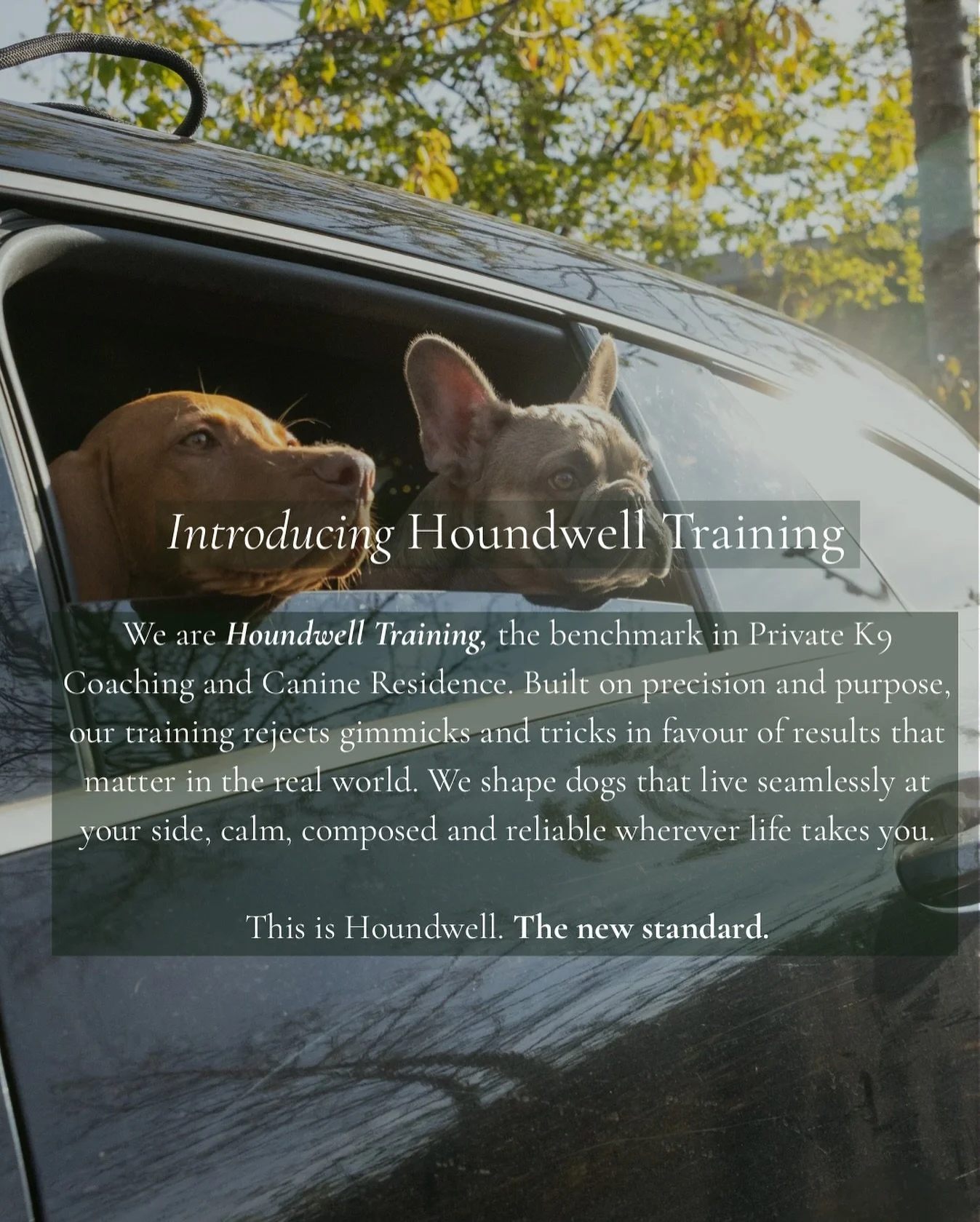 Something new is here.

Houndwell Training is the benchmark in Private K9 Coaching and Canine Residence. Precision, purpose and results that last in the real world.

No noise. No gimmicks.

We&rsquo;re not raising the bar. We&rsquo;re moving it entir