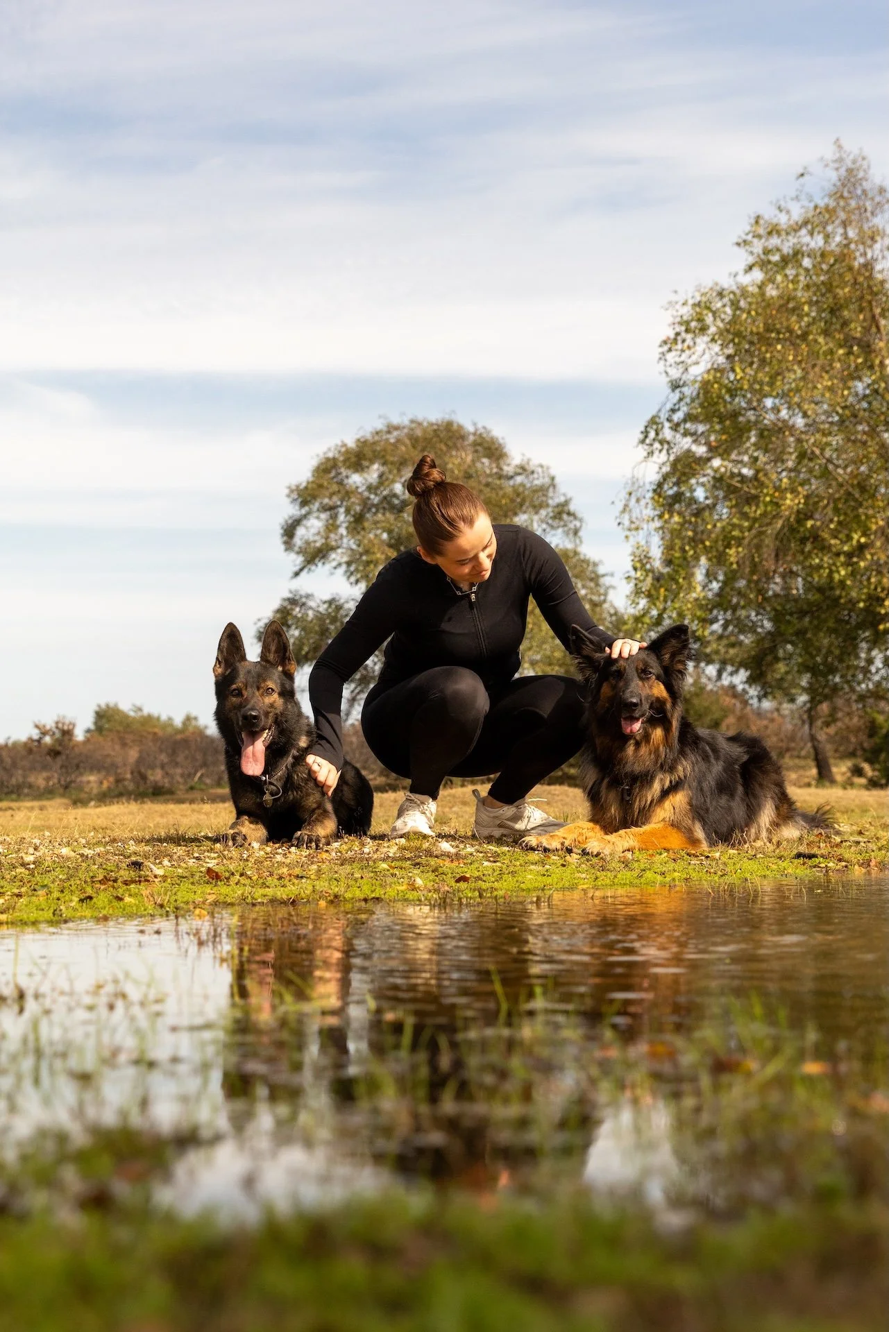 Sophie with two German Shepherds by the water