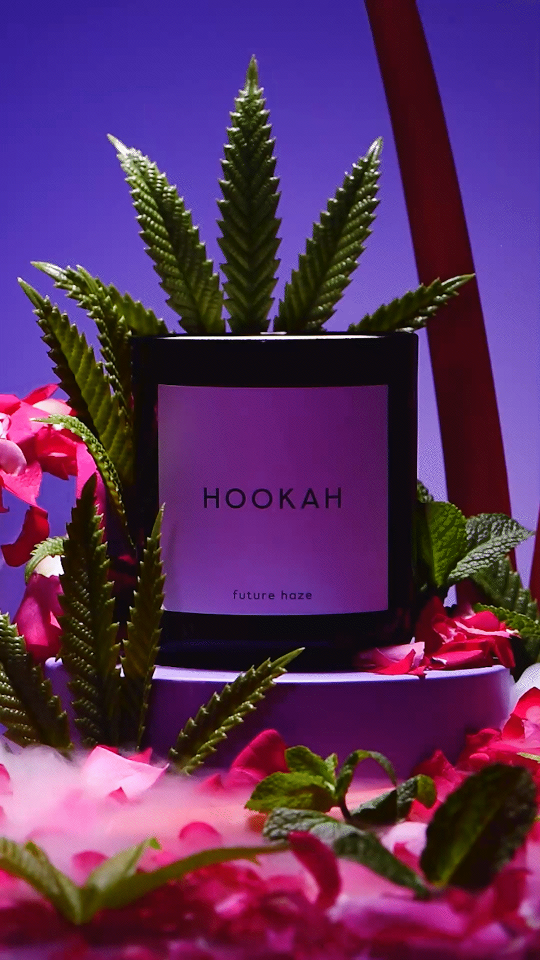 Hookah 1 9x16_3_1.gif