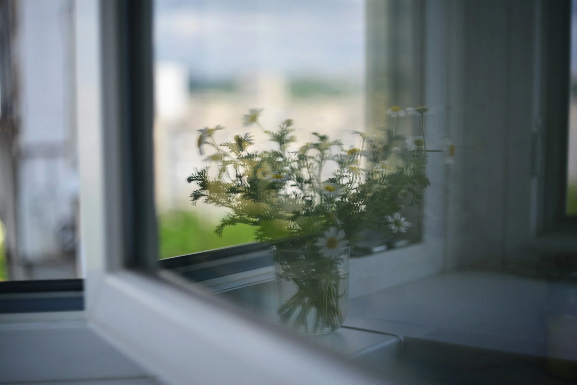 Managing Summer Condensation in Tasmanian Homes With High-Performance Windows