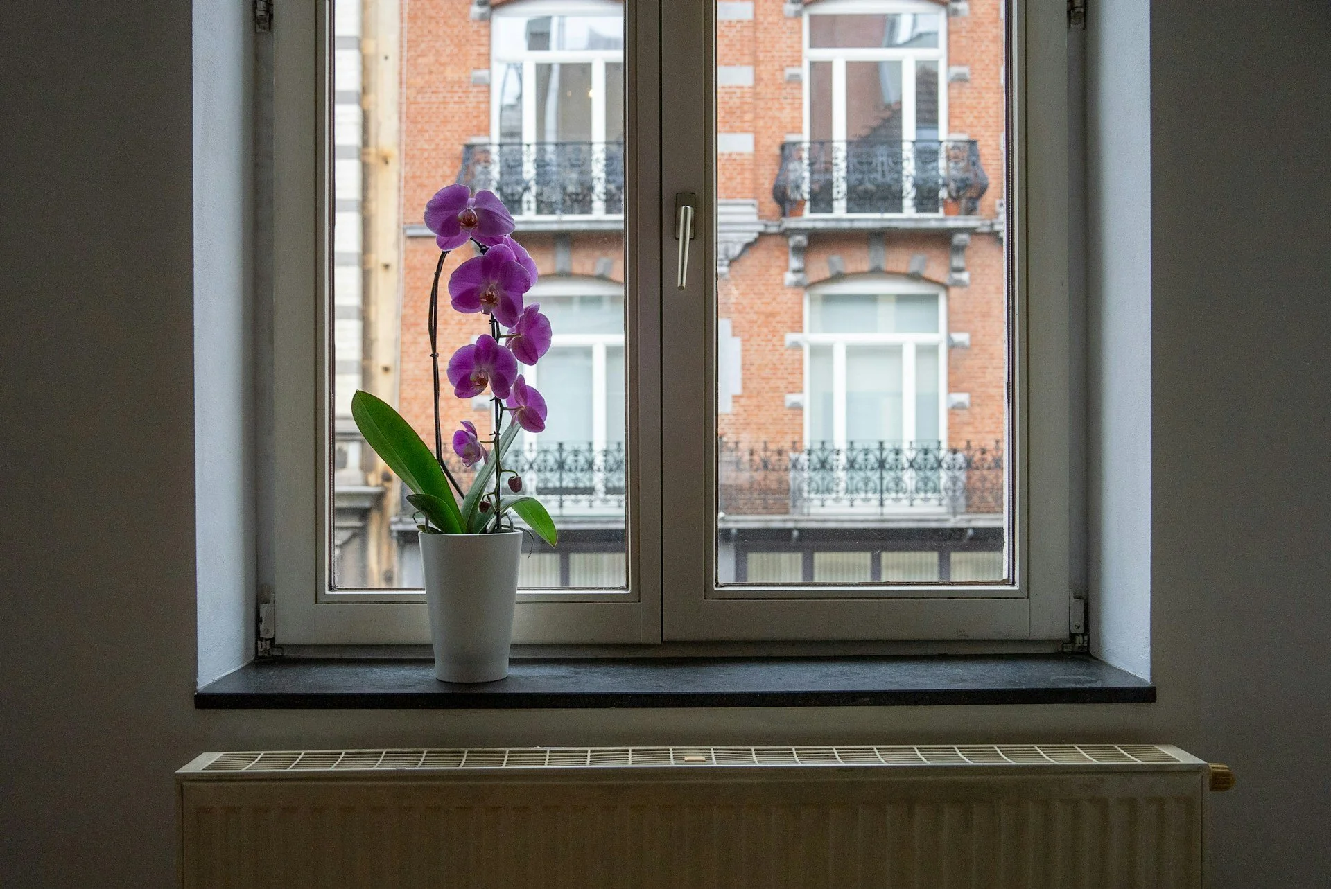 Comparing Double Glazed Windows in Launceston’s Heritage Streets