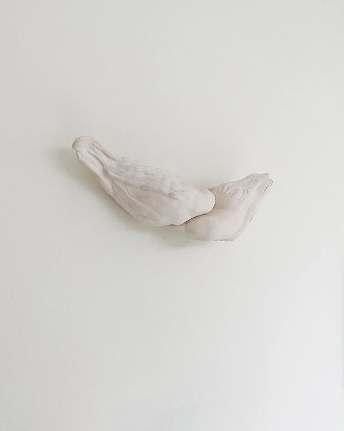 WINGS sculpture on wall_Martine Jansen.jpeg