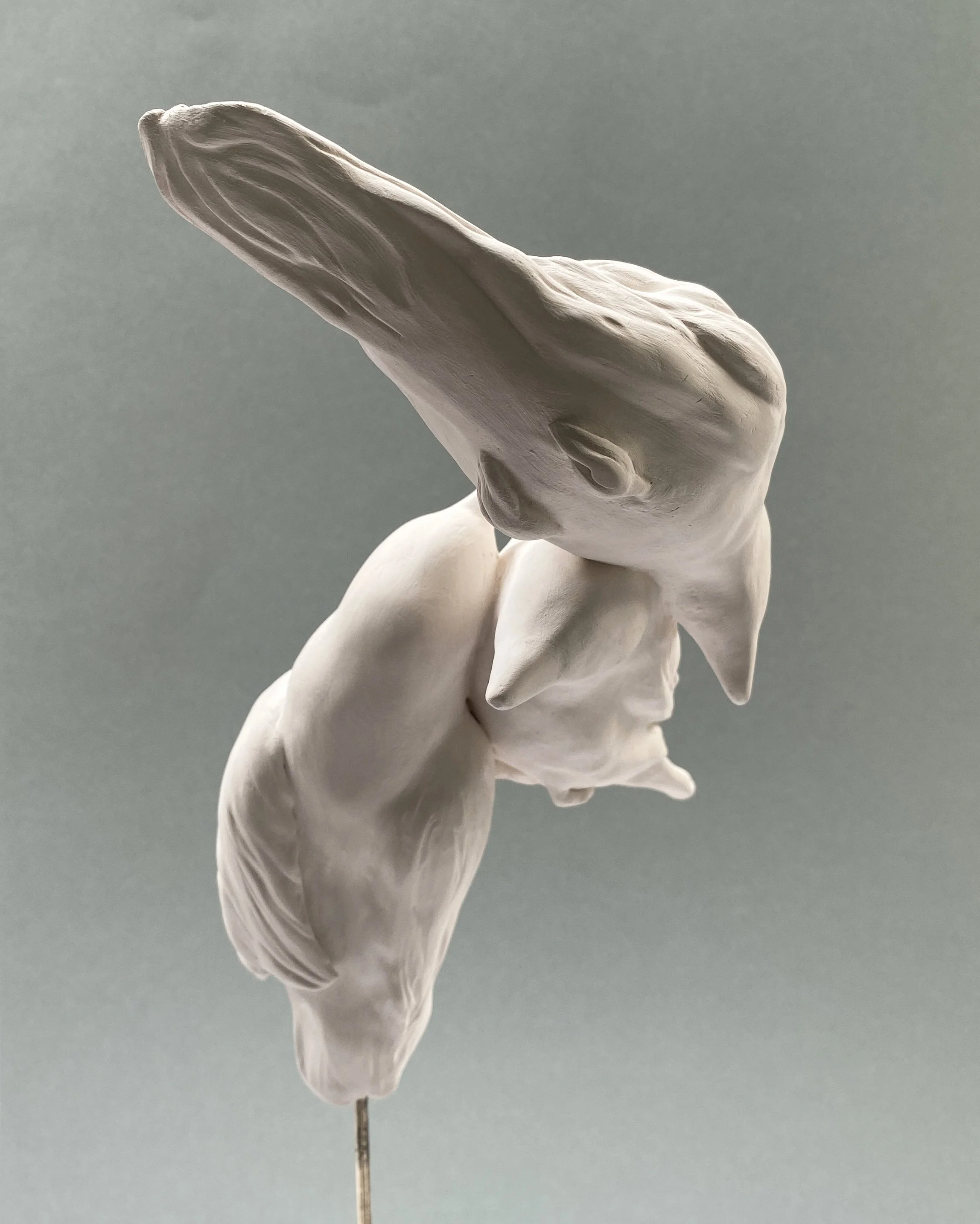 SYMBIOSIS_Martine Jansen_7.jpeg