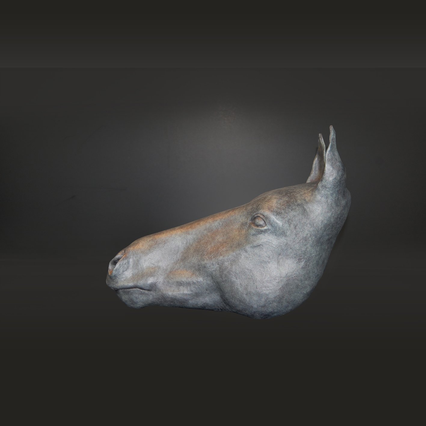 Martine Jansen - Horse.jpg