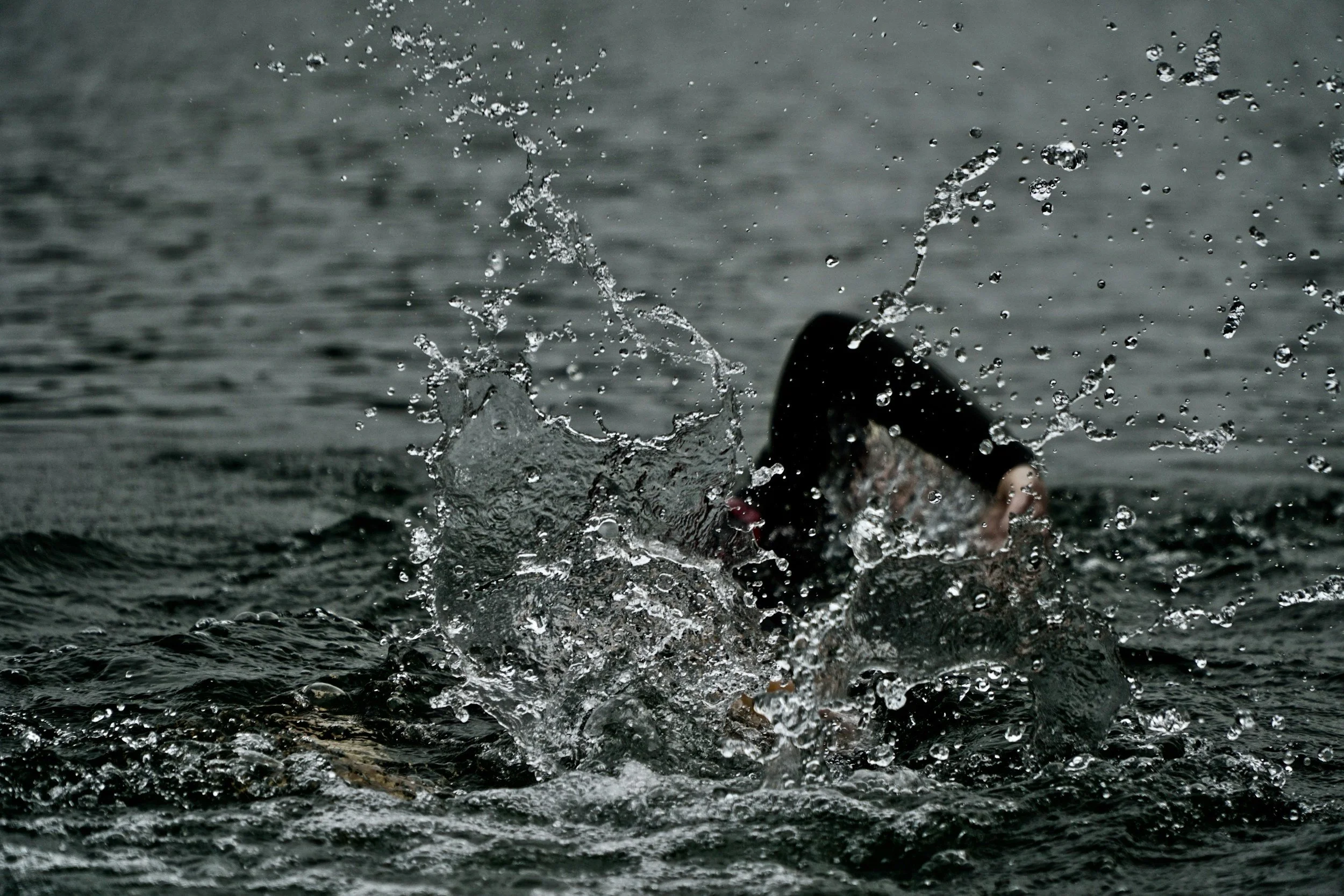 Calm open-water swimmer swimming comfortably near shore on a clear day