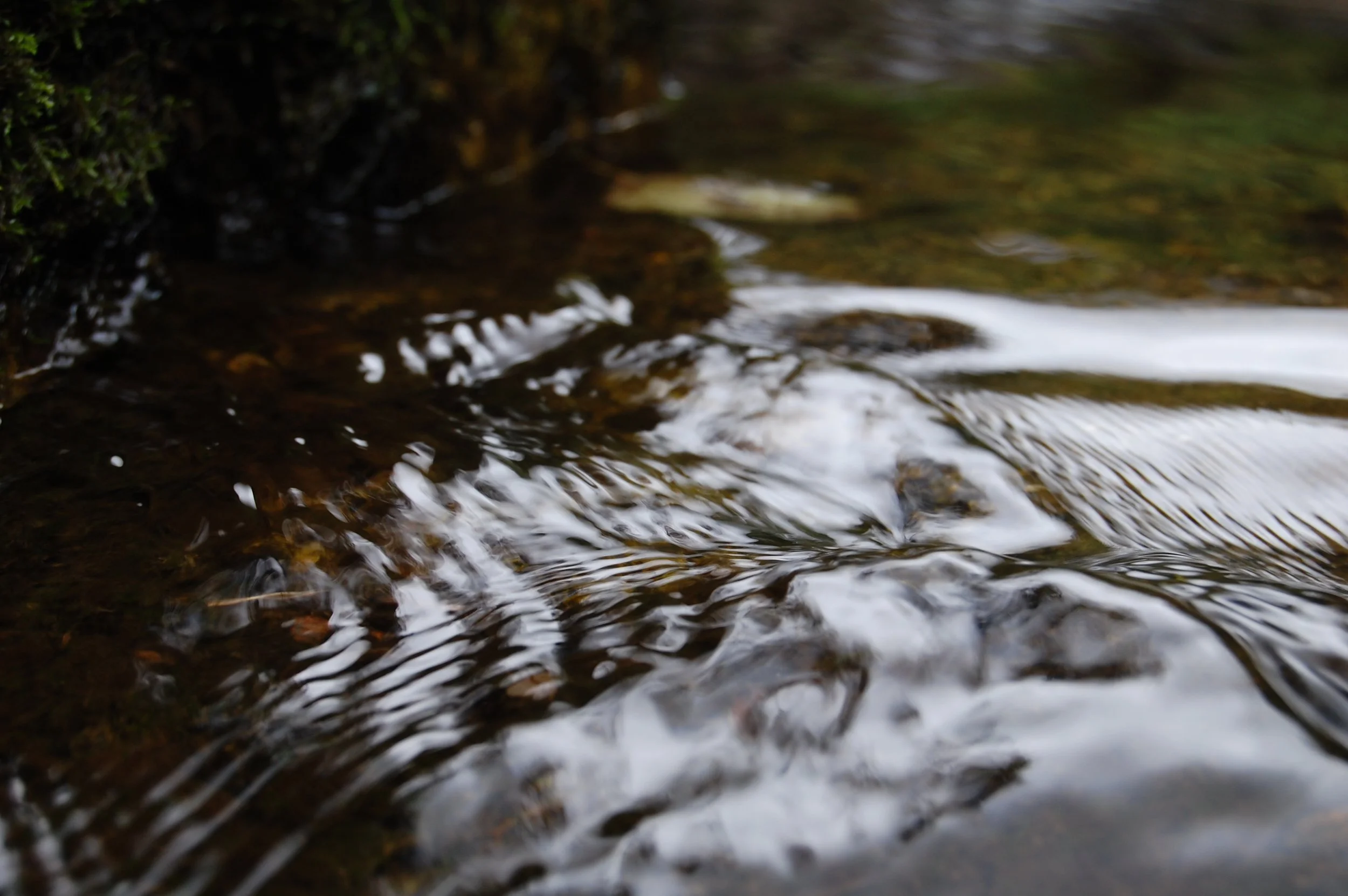 Close-up of flowing water over rocks in a shallow stream