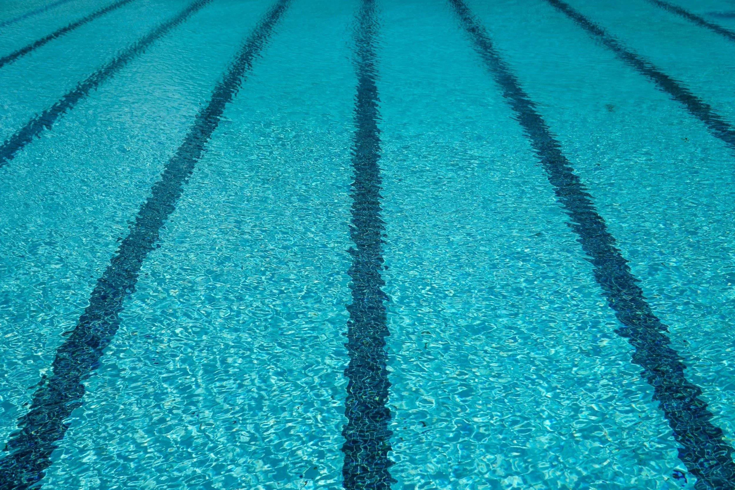 Swimming pool with blue water and black lane lines.