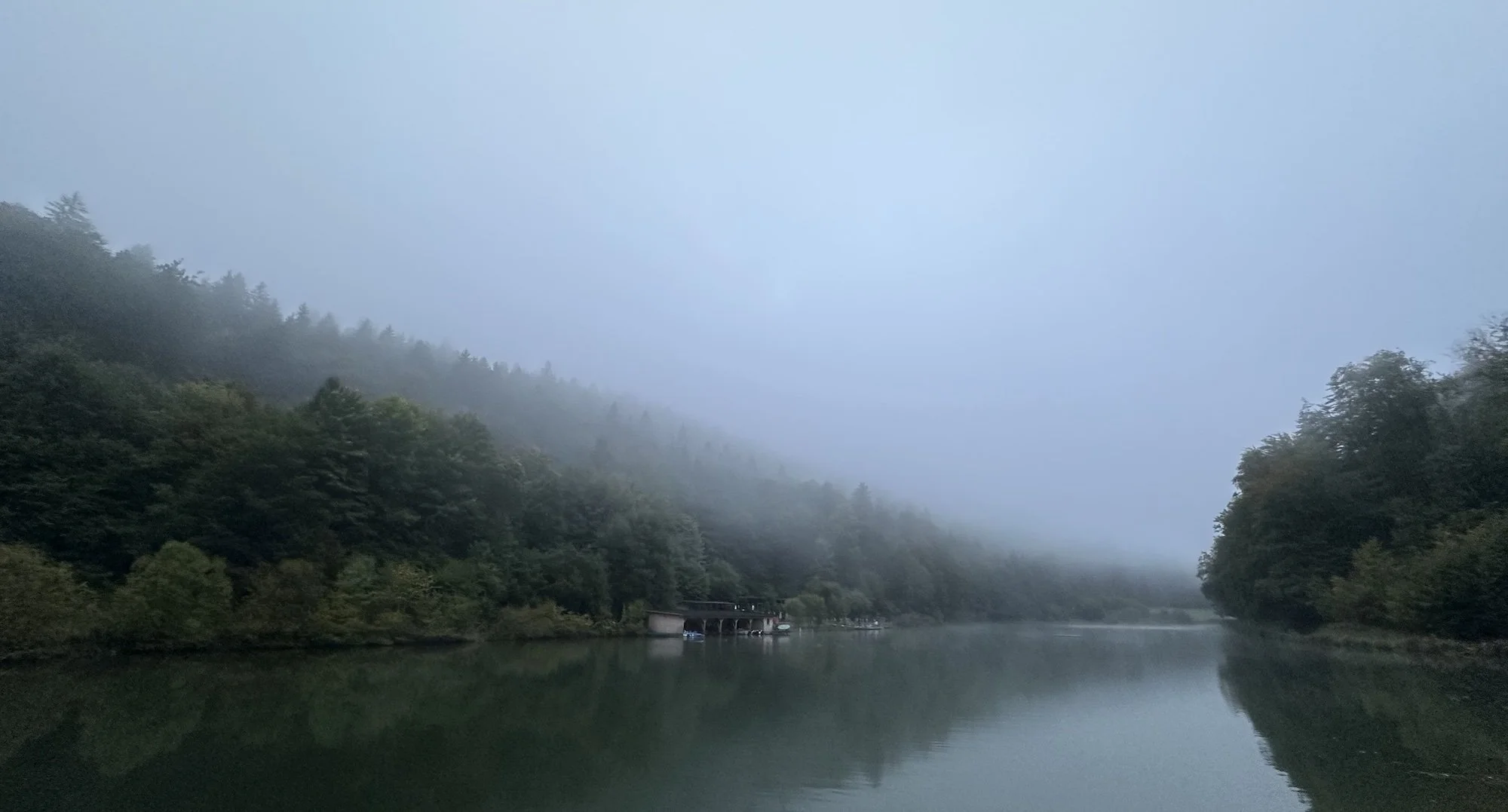 Foggy lake on a cold morning, showing calm open water conditions often encountered during cold water swims.