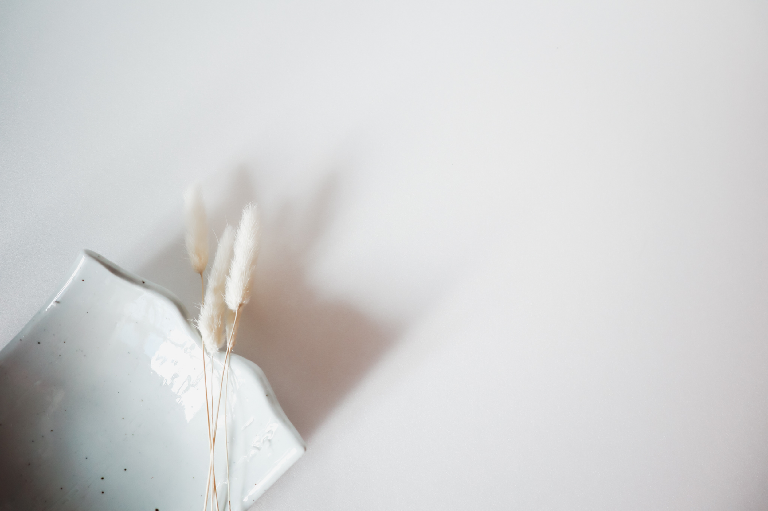 White ceramic vase with dried white fluffy flowers on a white surface.
