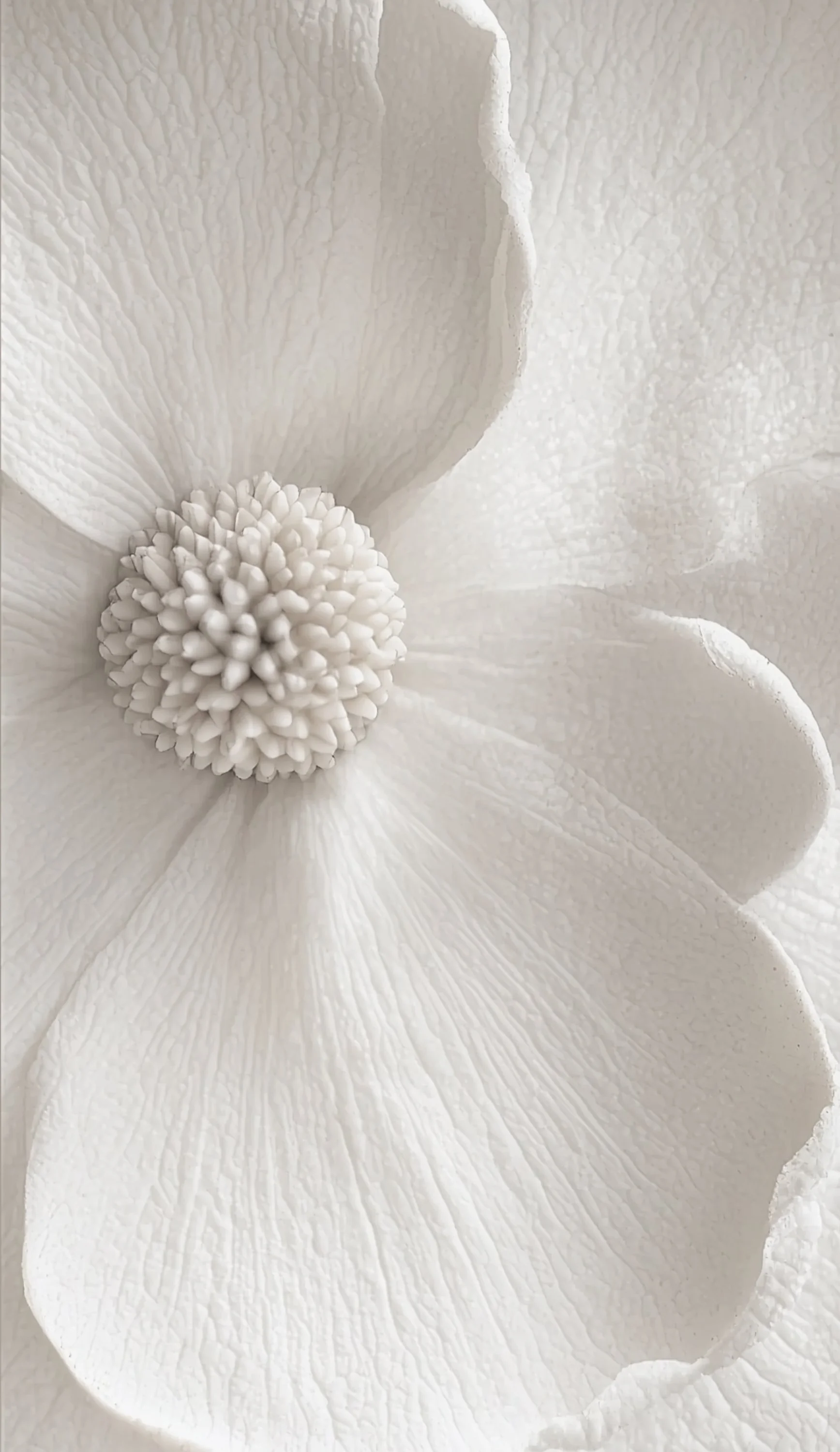 Close-up of a white flower with large petals and a textured center, possibly a magnolia or gardenia.