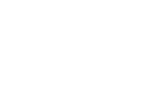 ULTRA-RAY LLC