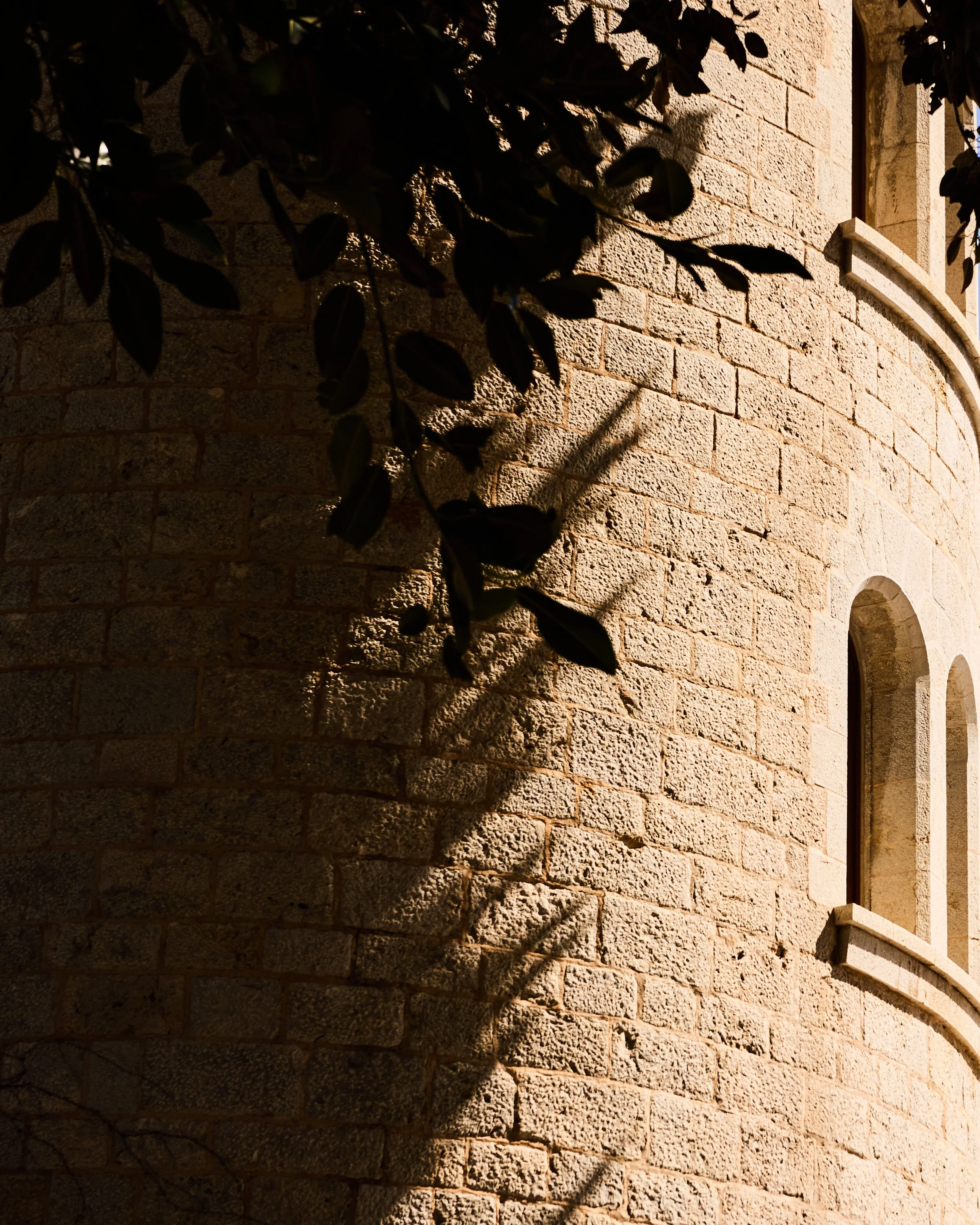 TLC Mallorca_Design 15 1.jpg