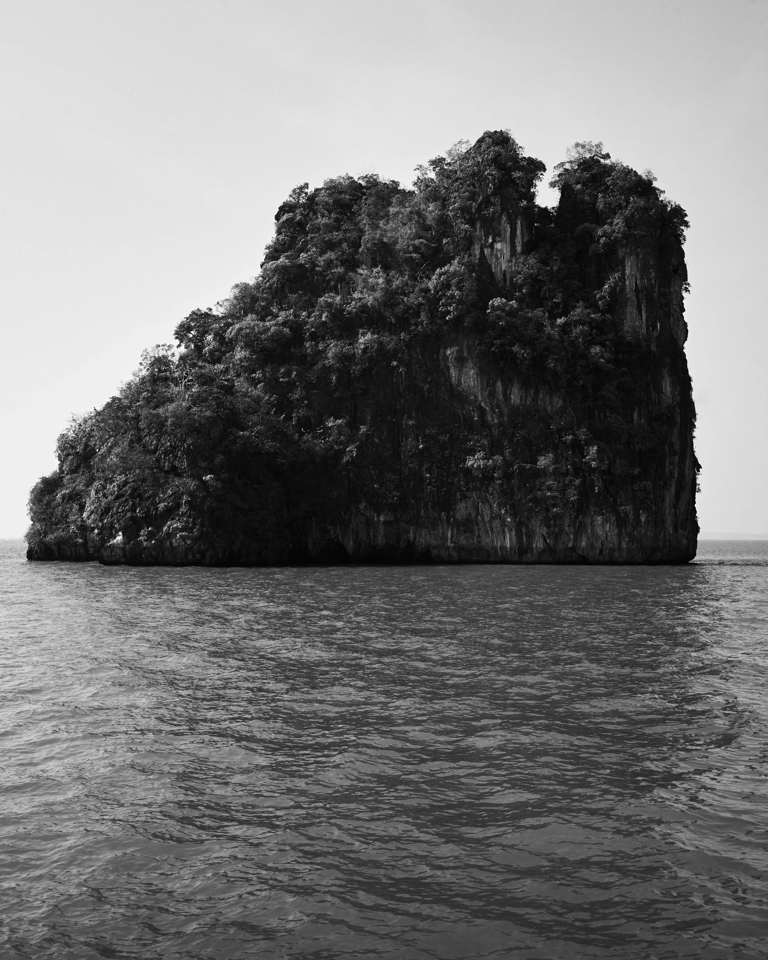 L1003732.jpg