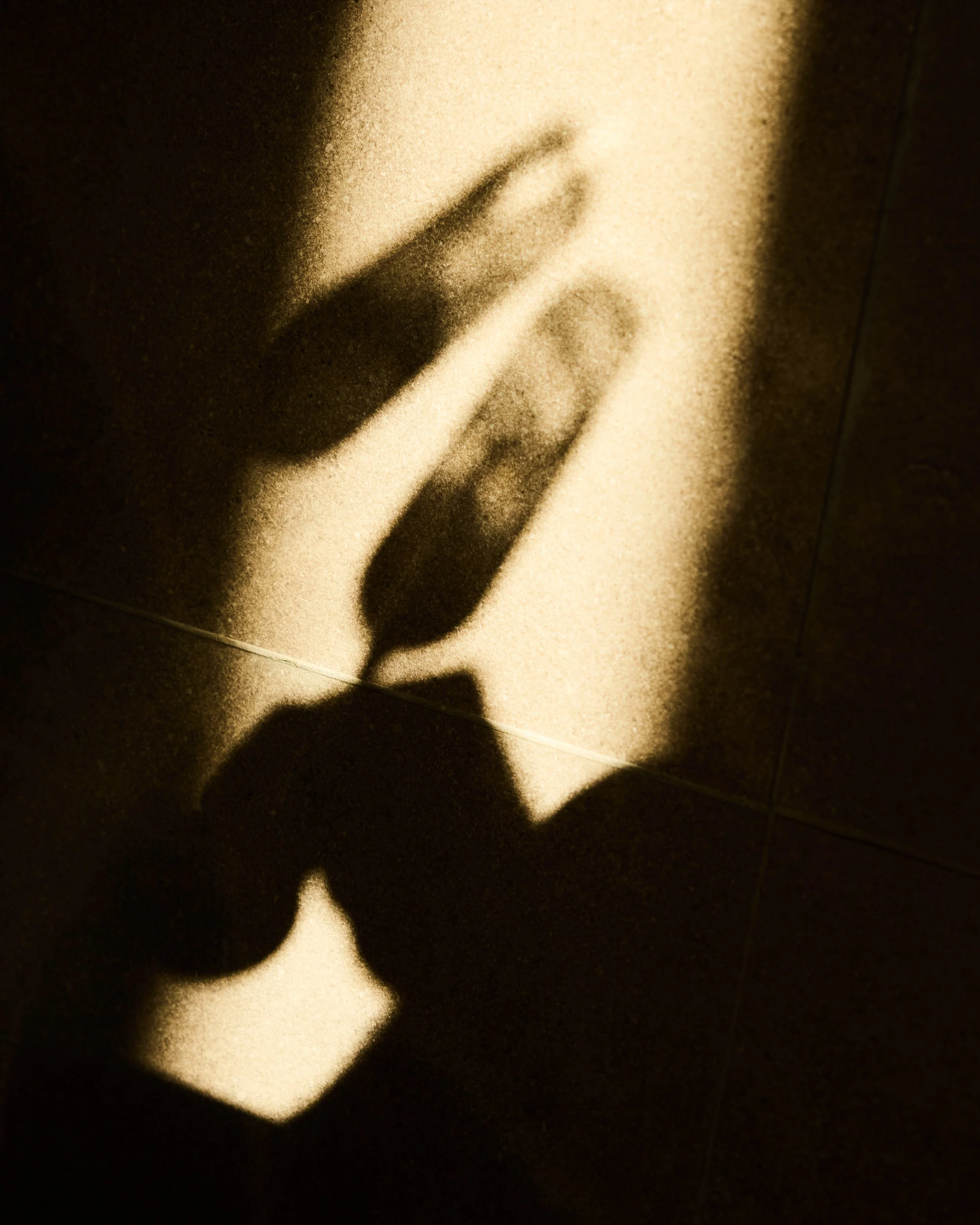 TLC Mallorca_Day1 217.jpg