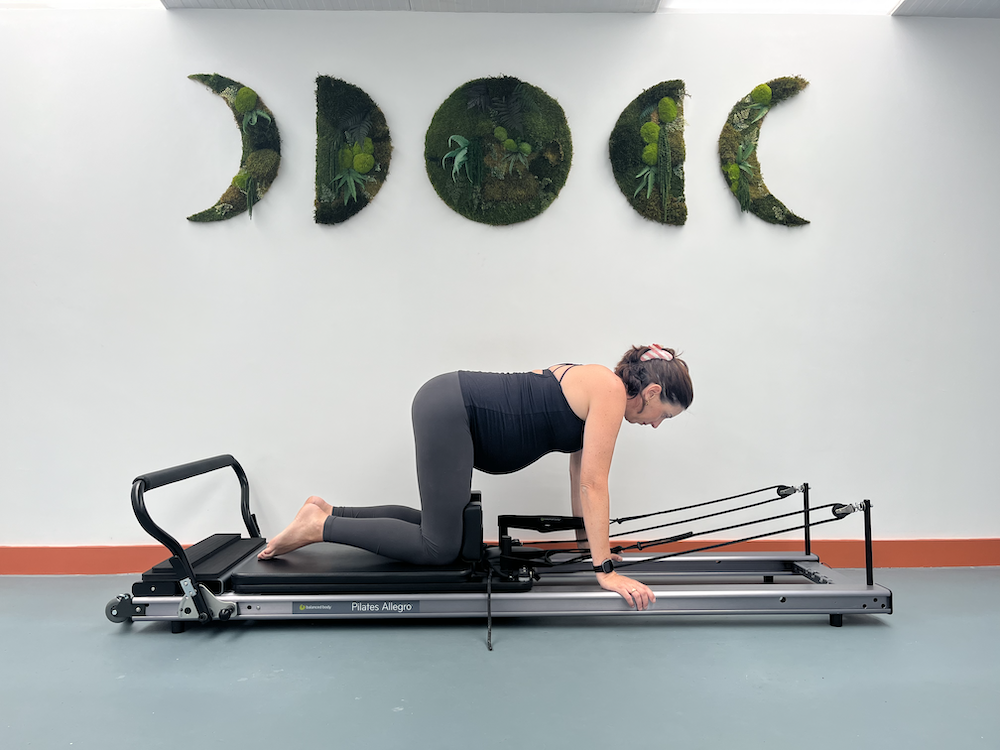 Pre and postnatal Reformer CPD