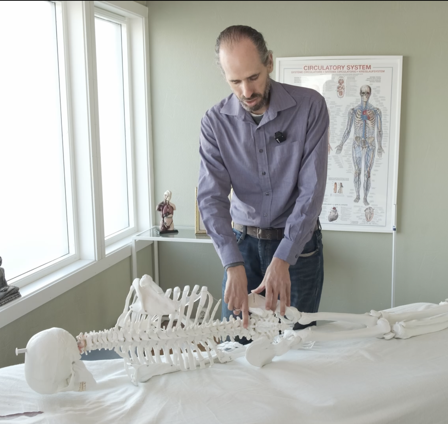 A man with a beard and gray hair wearing a purple shirt is pointing at a human skeleton model on a table. The room has medical posters and models, including a model of a human torso, and a poster of the circulatory system on the wall.