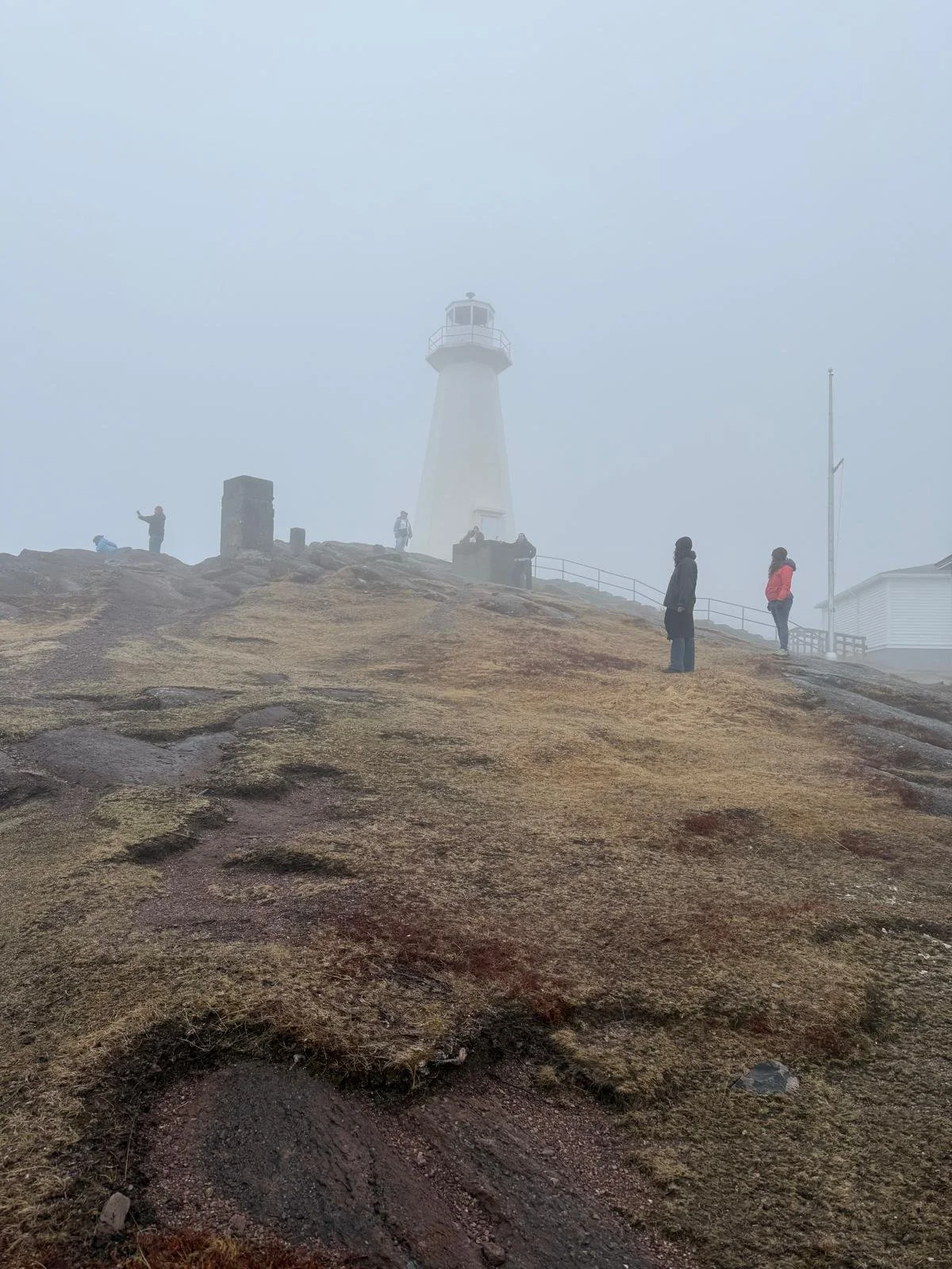 The crew wanders over Cape Spear.