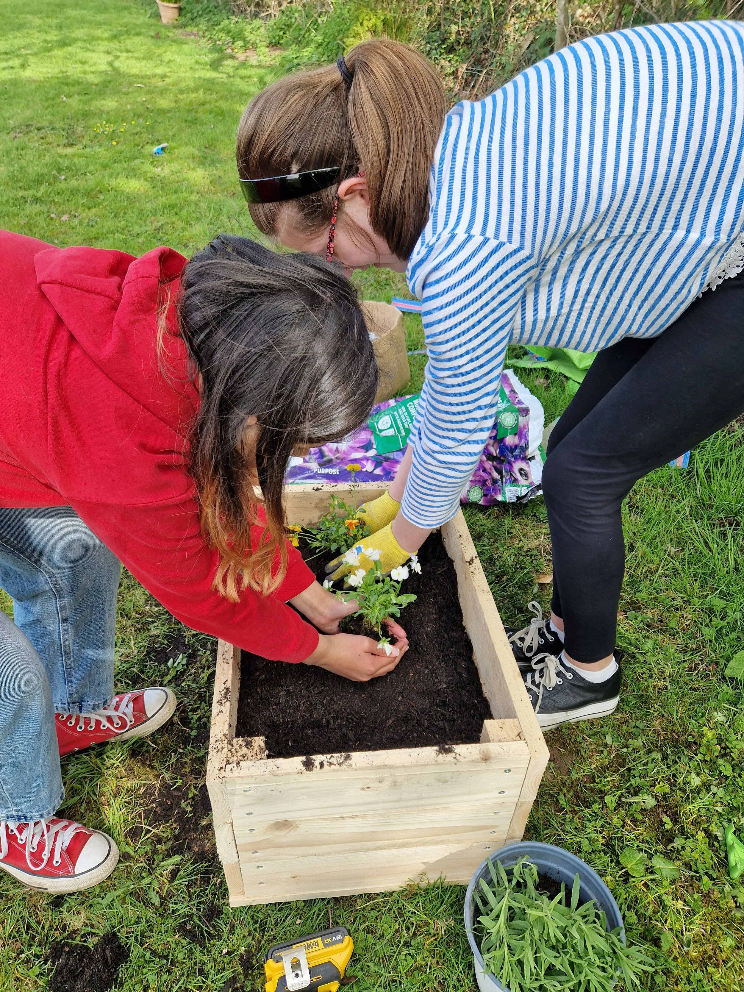 Two girls planting flowers in a wooden garden bed outside on a grassy lawn.