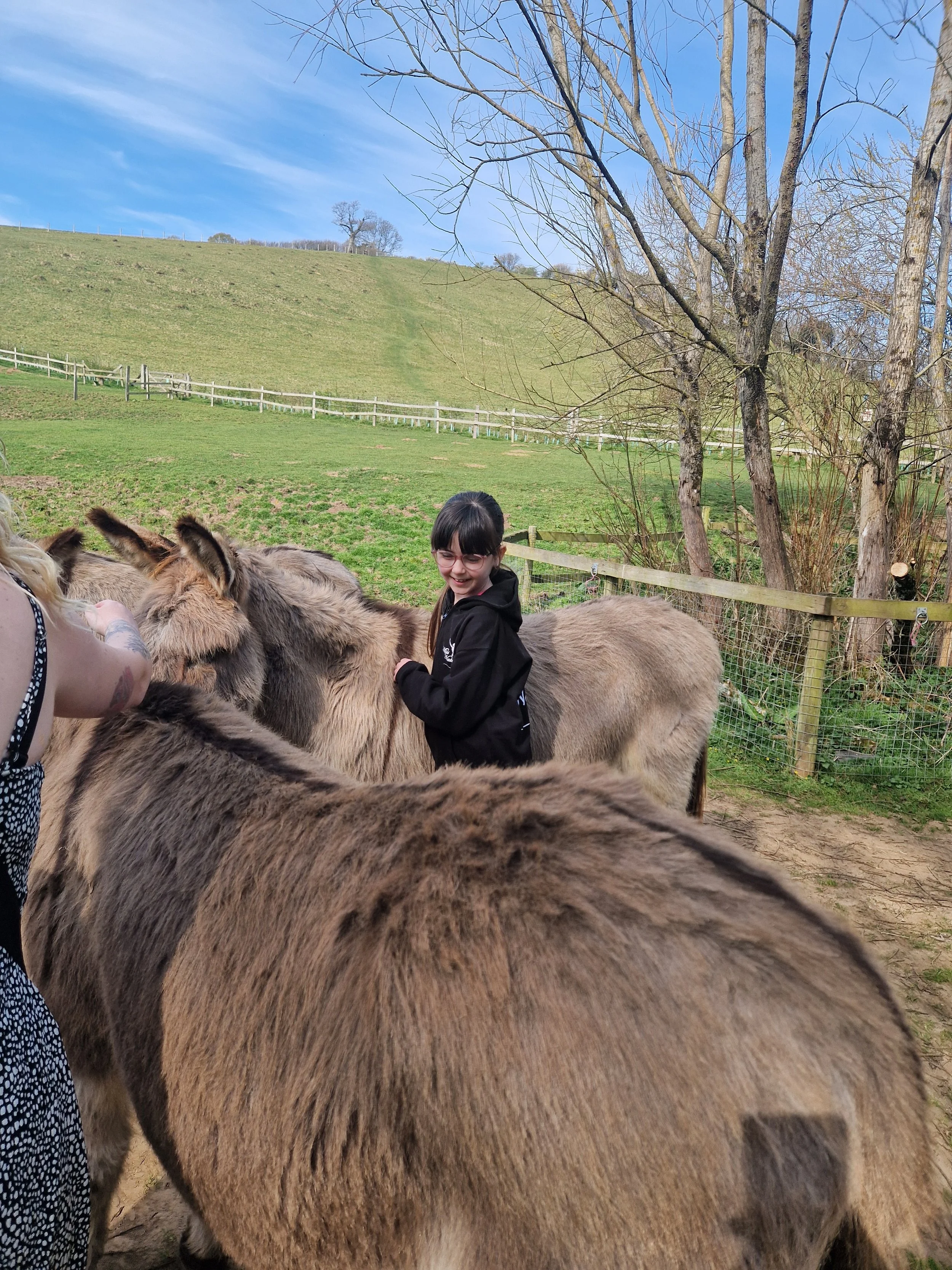 A young girl smiling and petting donkeys at a farm or petting zoo with a fenced pasture, trees, and a hill in the background on a clear day.