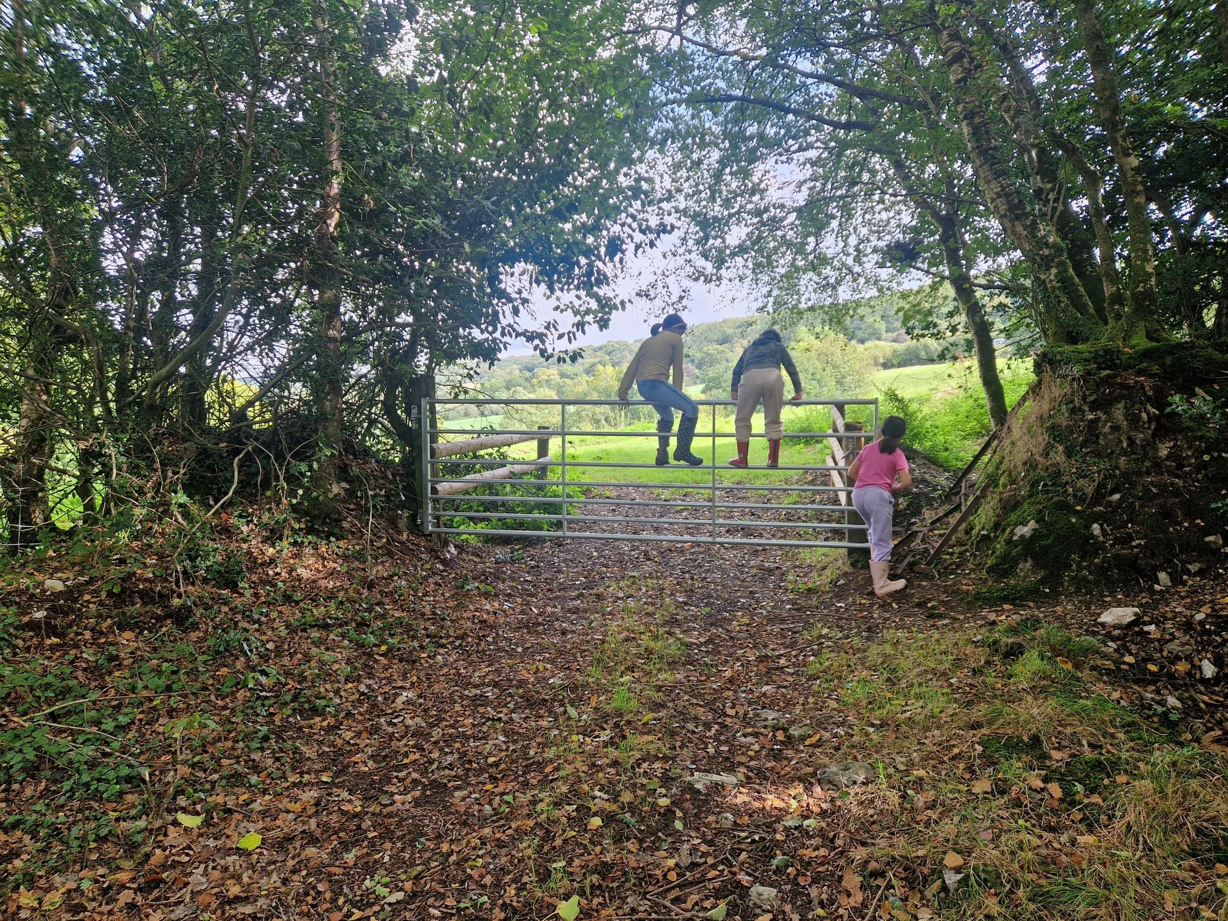 Three children explore a gate in a wooded area, with two climbing on top and one climbing the stairs next to it, leading to a grassy meadow beyond.