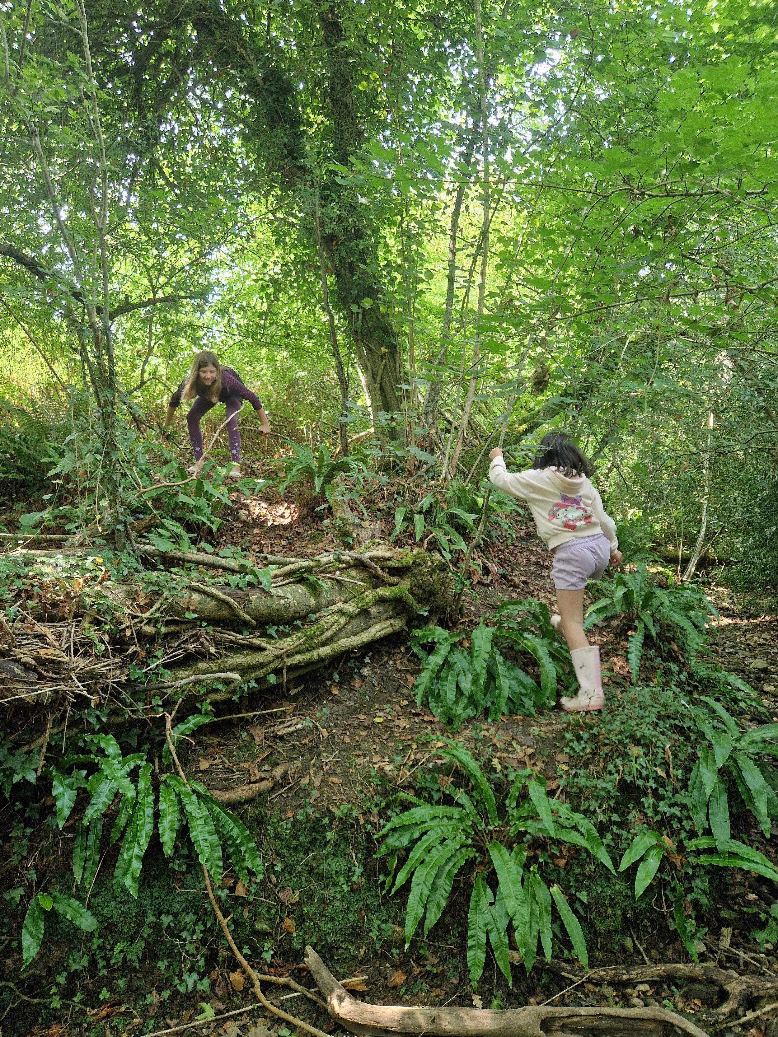 Two young girls hiking through a lush green forest, one climbing over a small log and the other pulling on a tree branch.