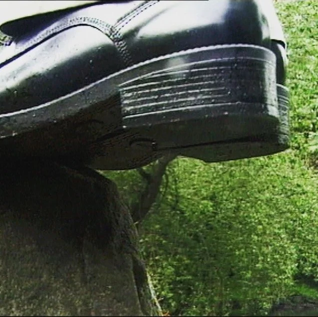 pictureshowstill003.jpeg