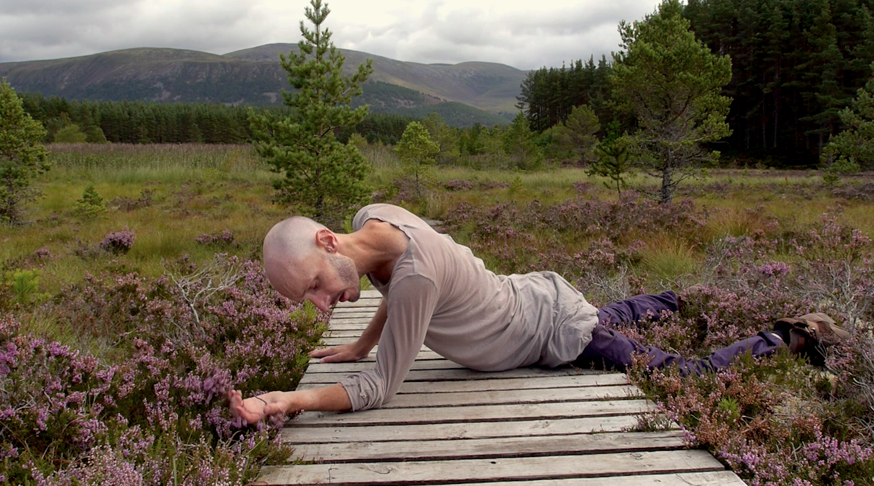 Uath Lochans (2015)