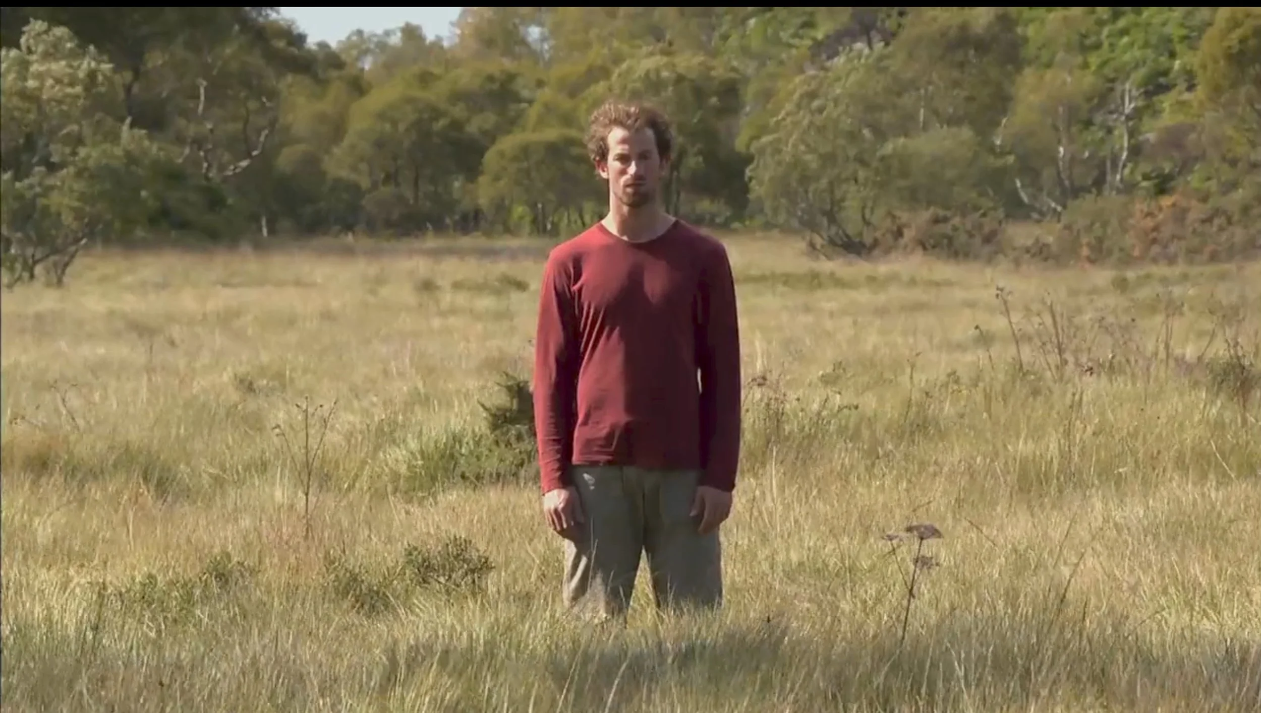 AFH Robbie meadow .jpg