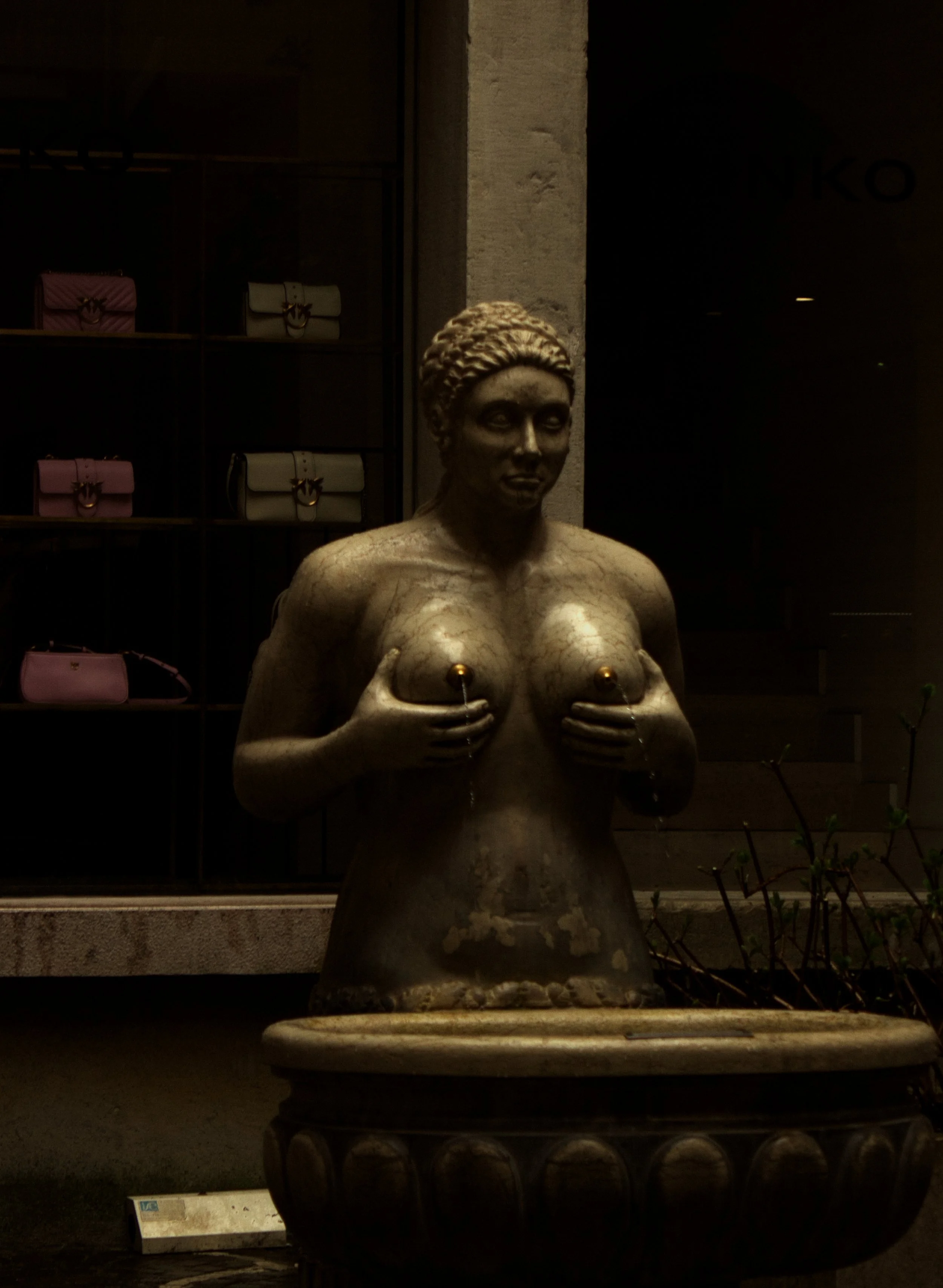 Fontana del vino.jpg