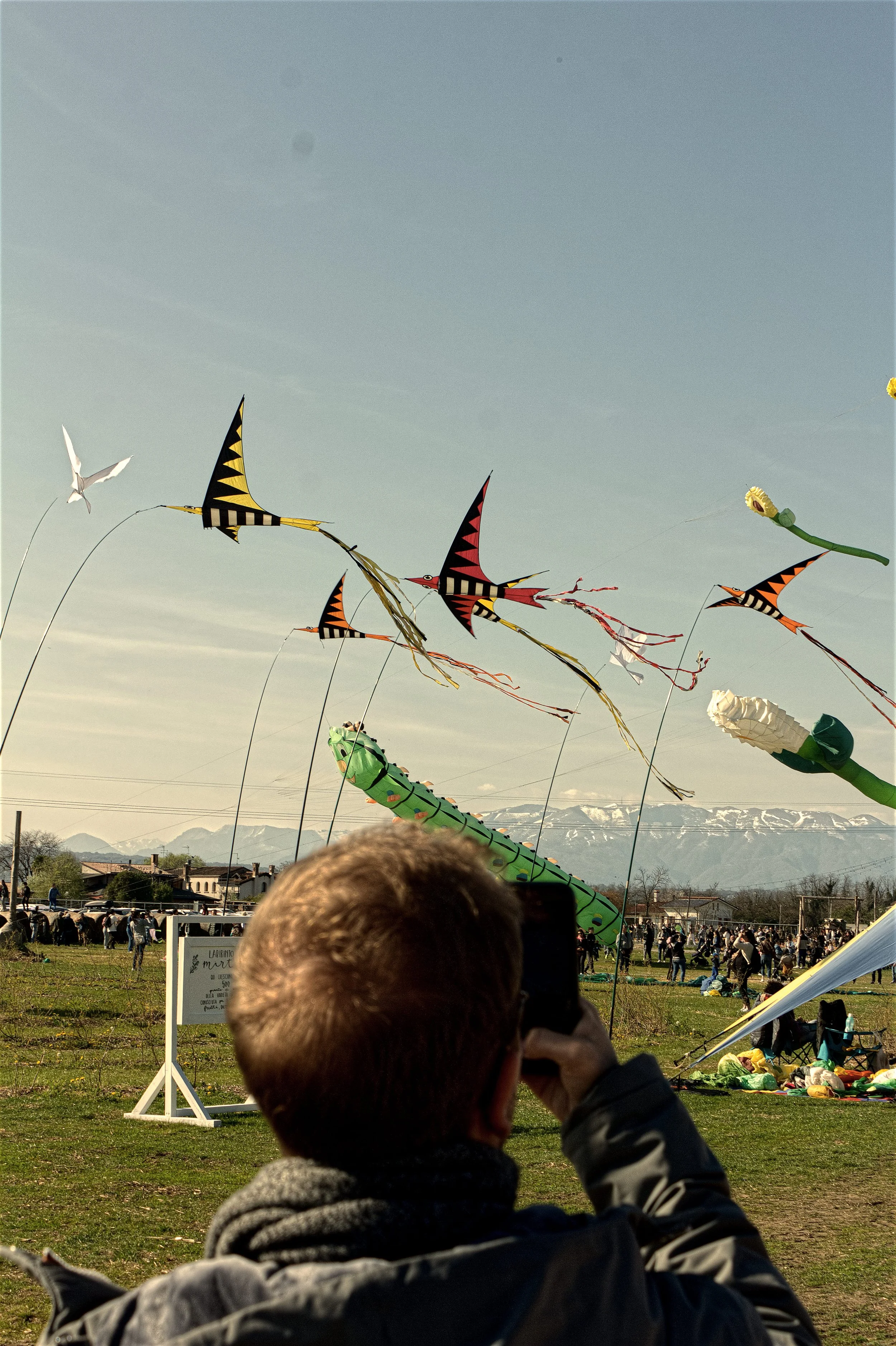 Nicola e Aquiloni.jpg