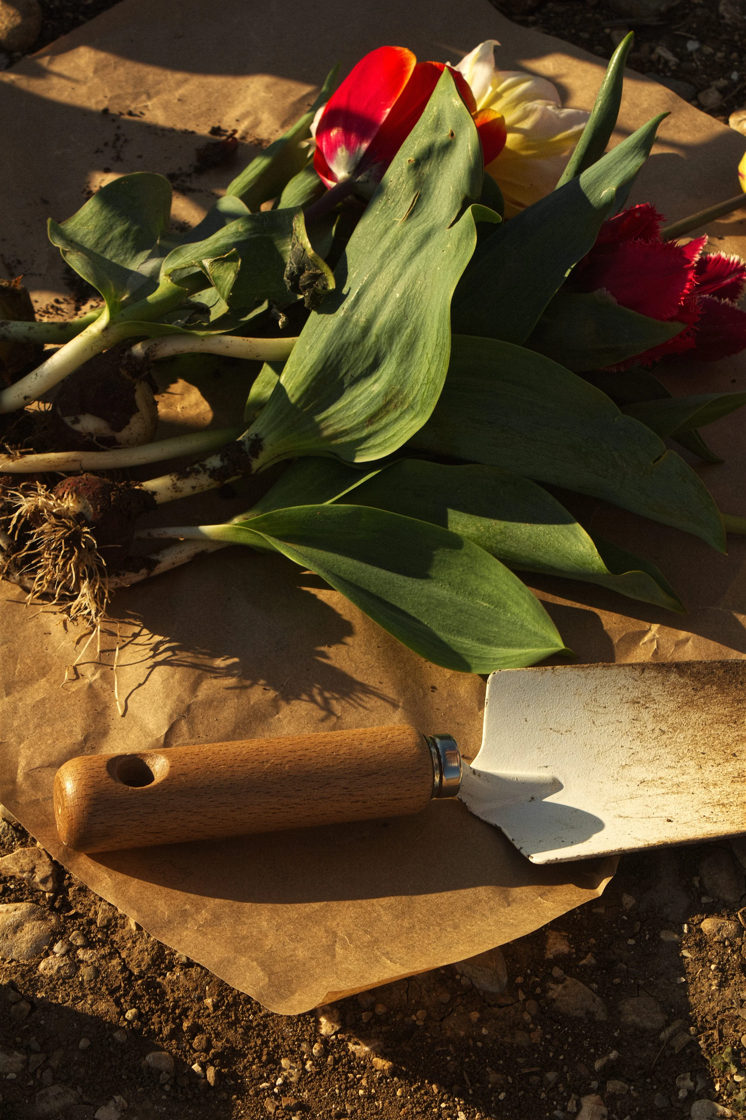 Strumenti da lavoro.jpg